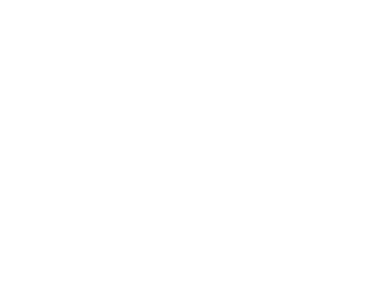 Progetto Reviva