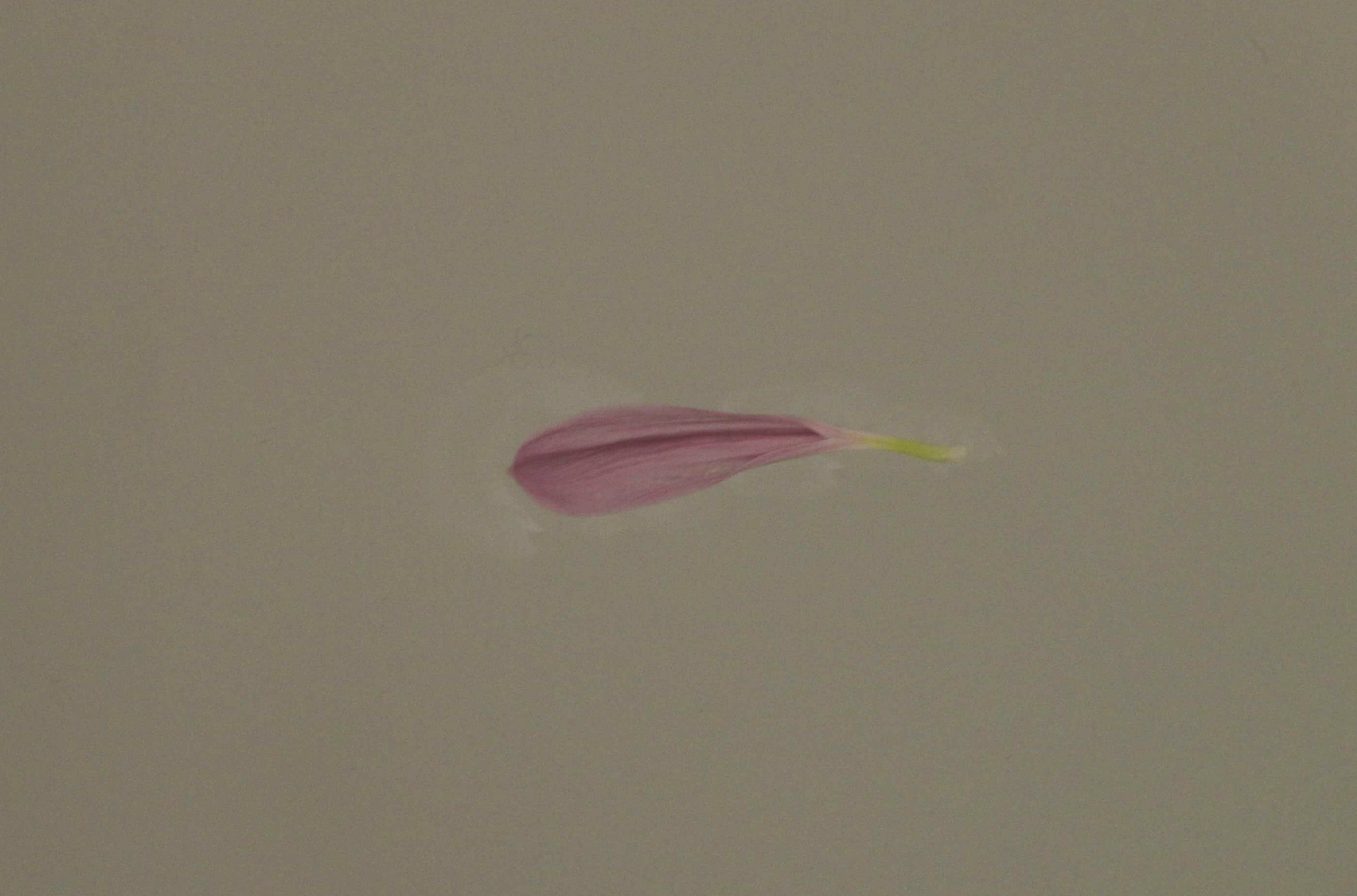 Screenshot 2026-08-10 at 20.02.49.png