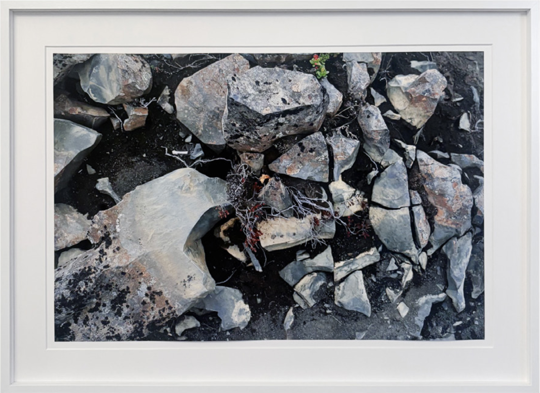 MELUR_I
Archival pigment print on lustre paper. 
40 × 60 cm 
175.000 kr.
Edition of 5
