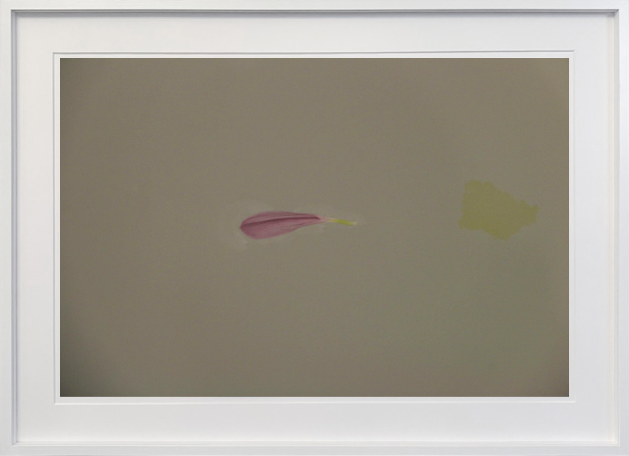 UNTITLED
Archival pigment print on lustre paper. 25 × 40 cm 65.000 kr. - Edition of 5