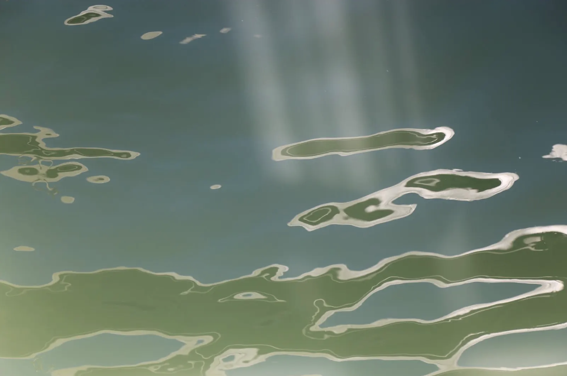 Screenshot 2026-07-27 at 11.36.33.png