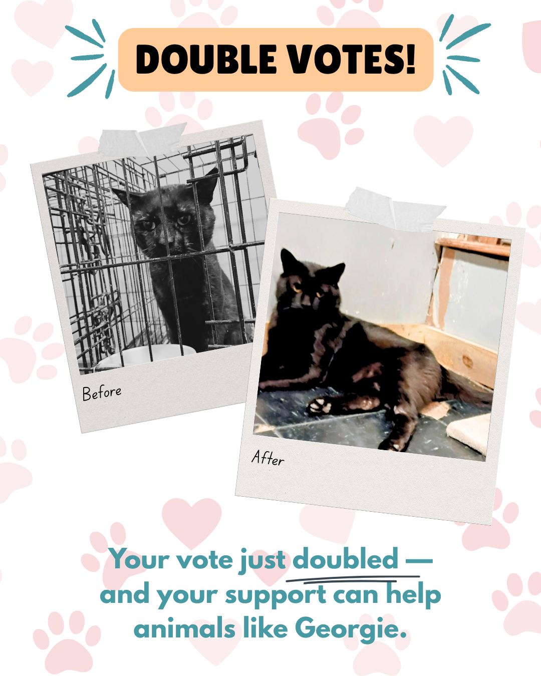 Photo Contest 2026-Georgie-Sep4-DoubleVotes.png