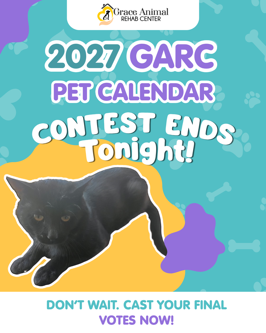 Photo Contest 2026-Georgie-Sep6-Countdown.png