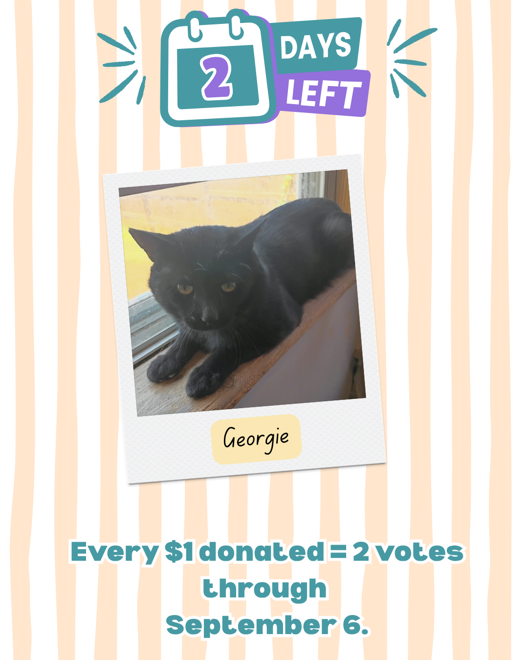 Photo Contest 2026-Georgie-Sep5-Countdown.png
