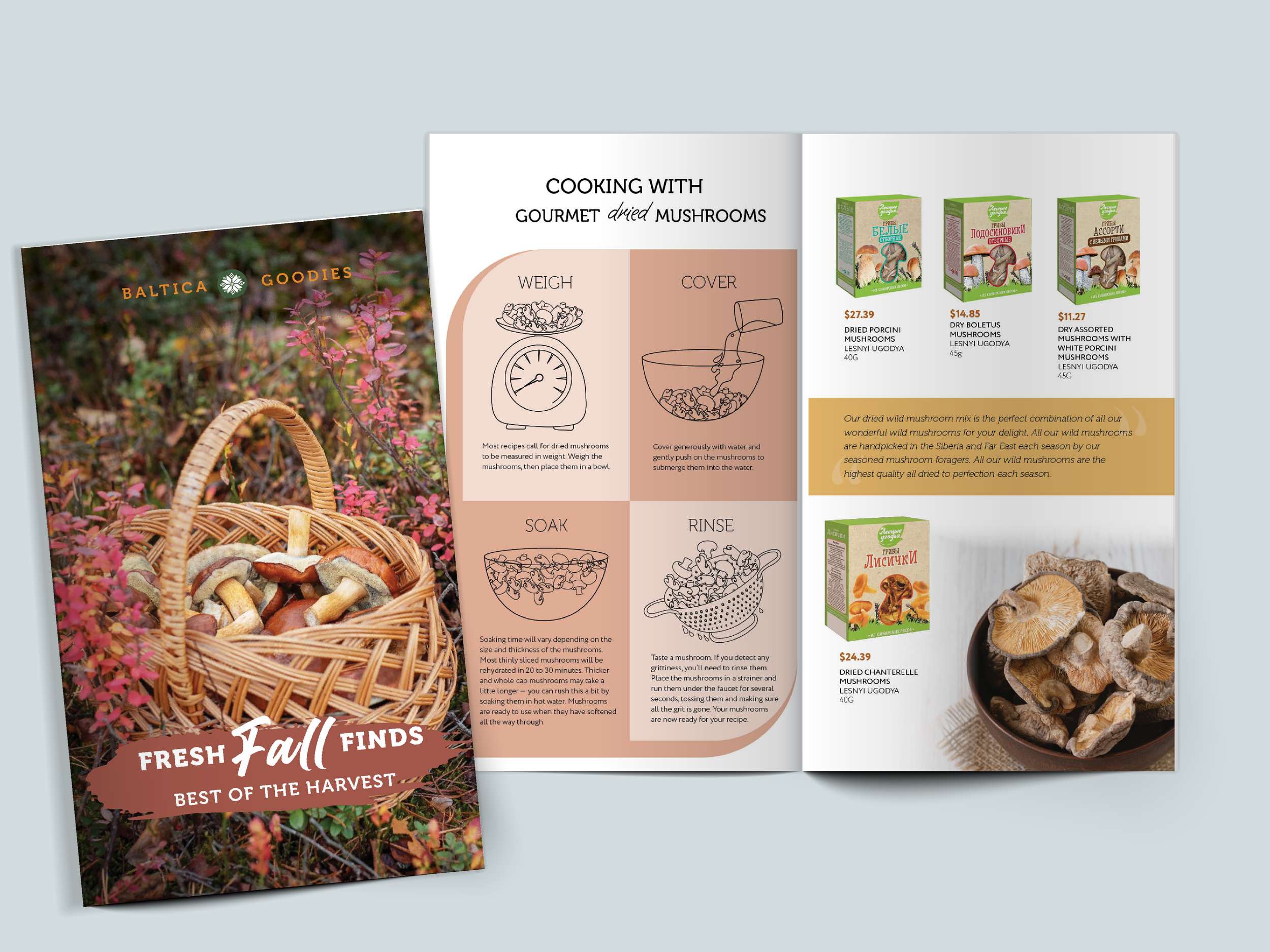 Catalog-Mockup-4.png