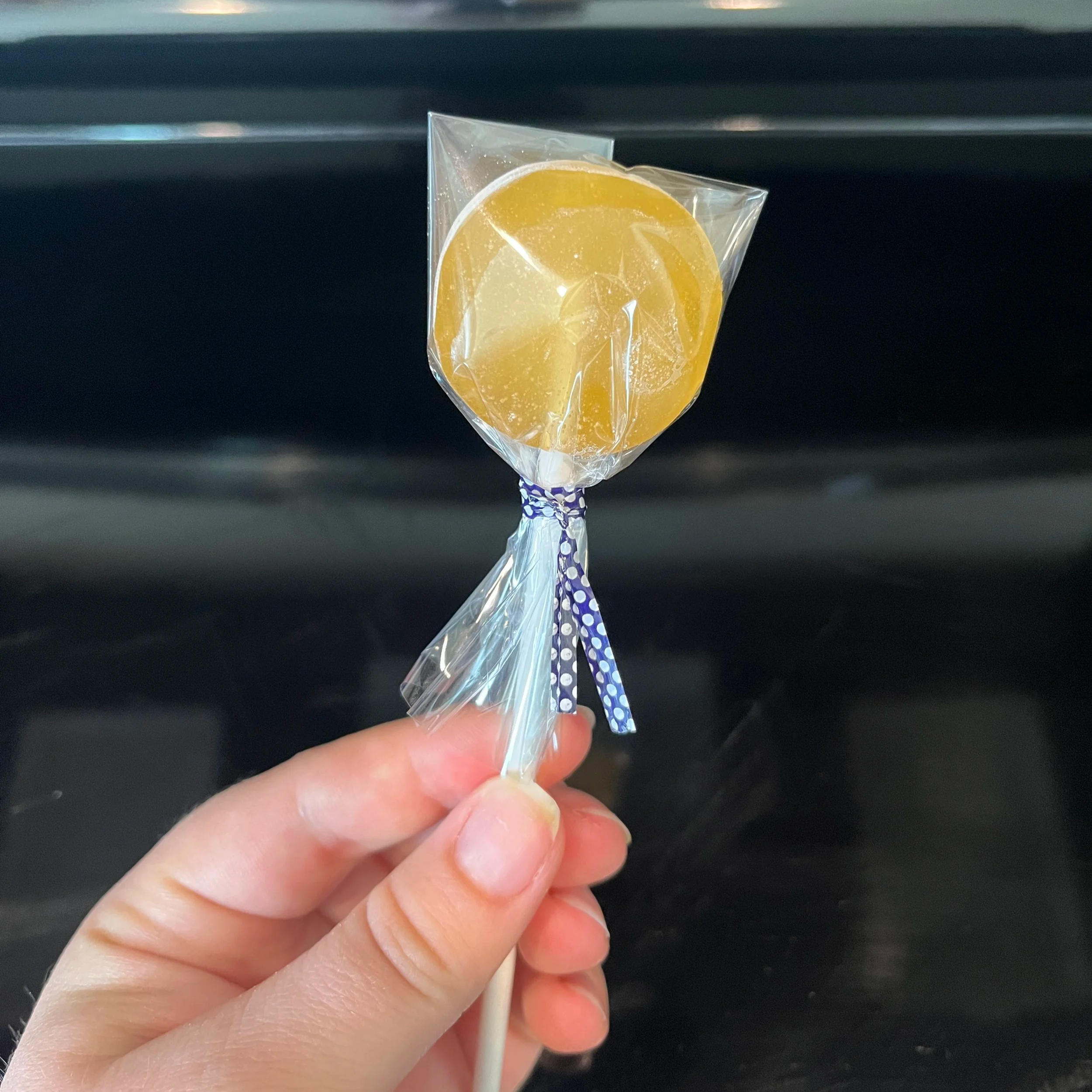 Honey+Lollipops+holding+pic.png
