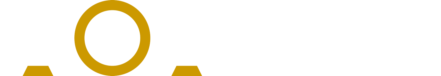 The Africa Outsourcing Alliance (AOA)