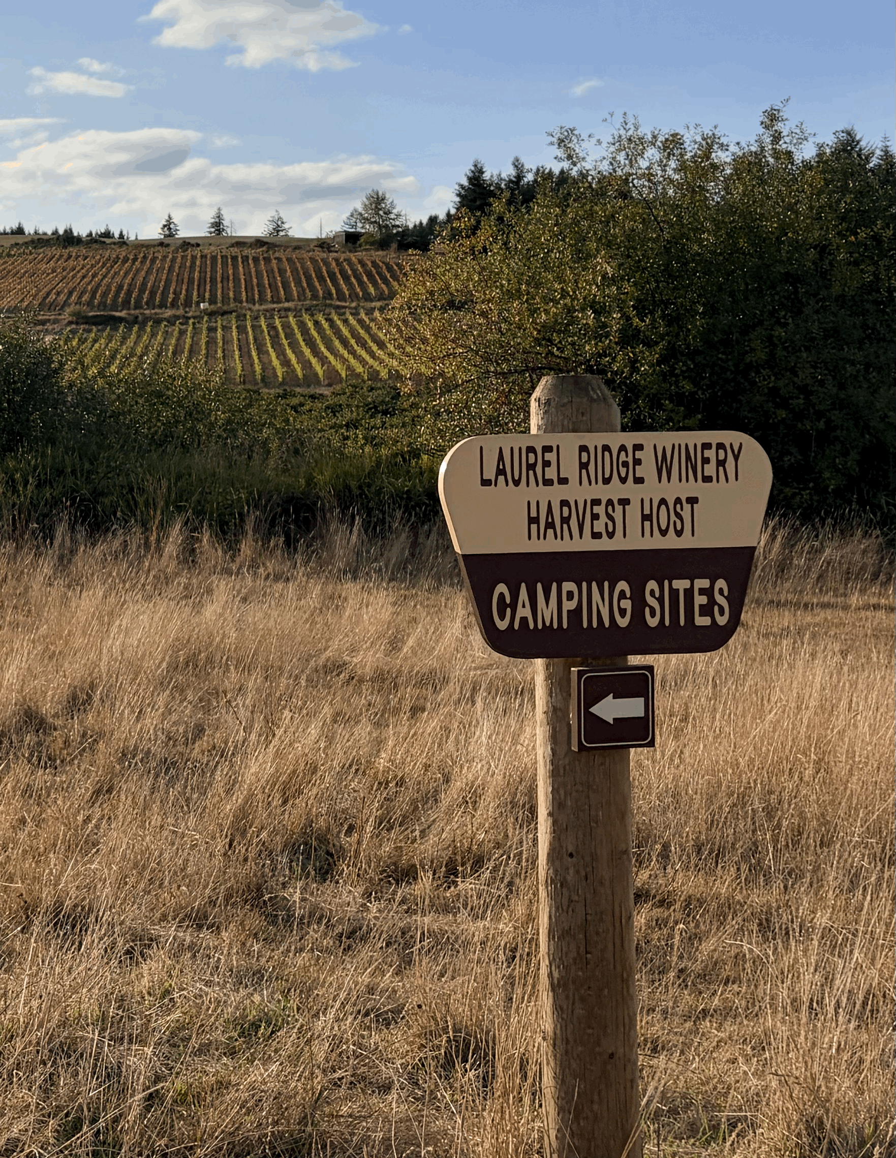 Places Tell Stories Too: Placemaking