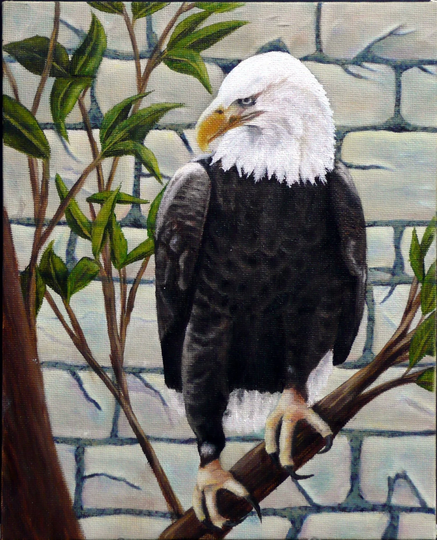 Painting of a bald eagle perched on a tree branch with green leaves and a chain-link fence in the background.
