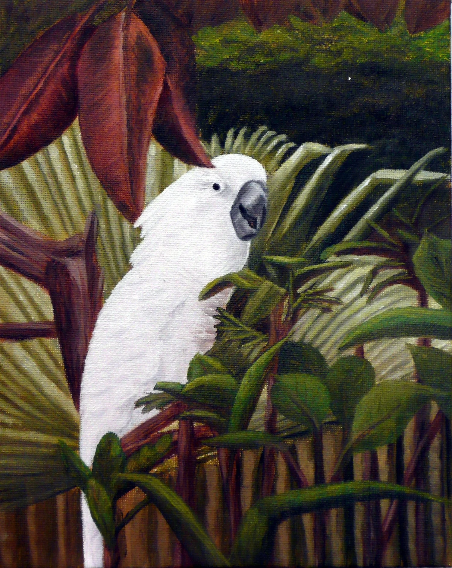 Painting of a white cockatoo perched among green tropical plants and large red banana leaves.