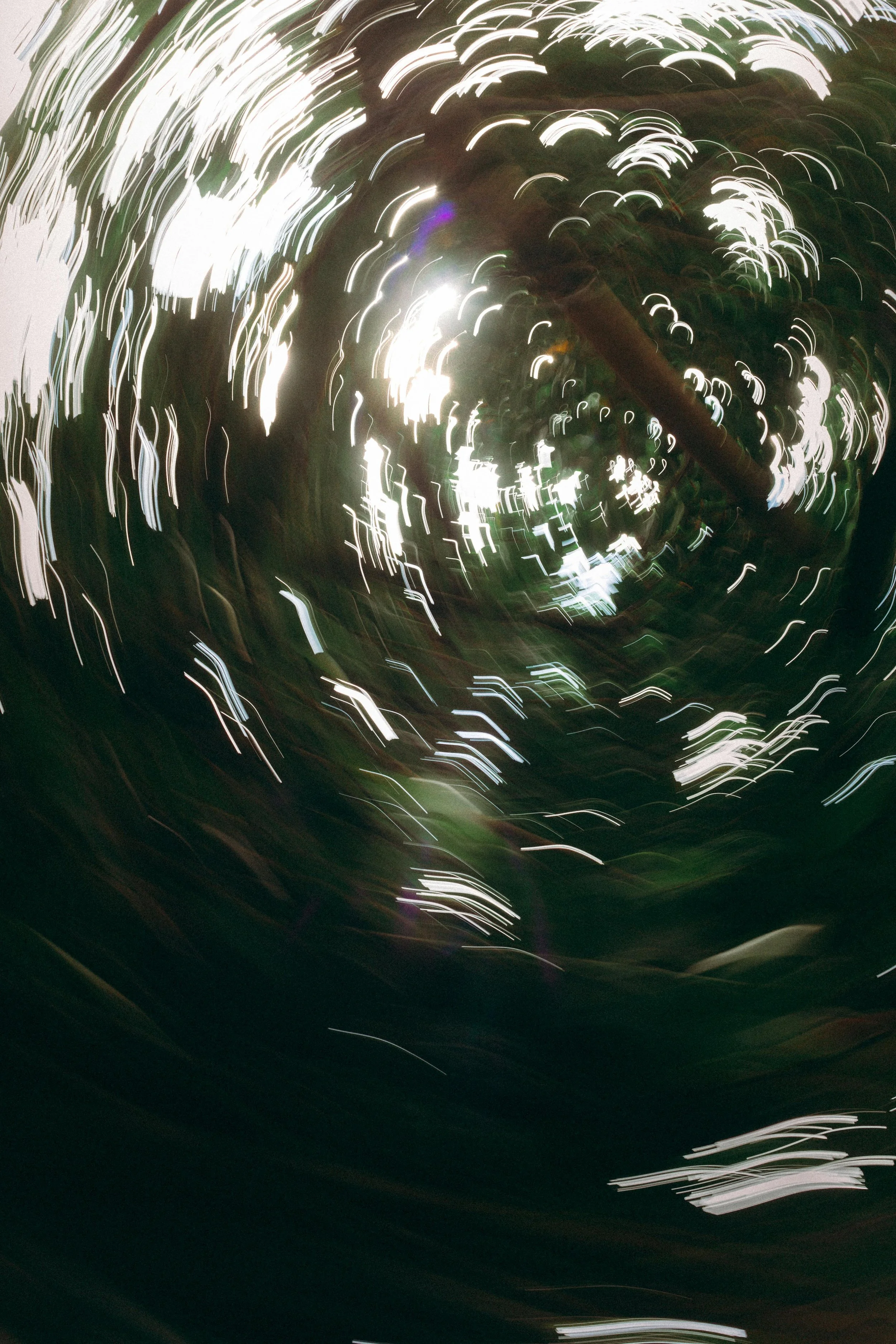 Blurred image of a spiral pattern of bright lights and greenery caused by camera movement.
