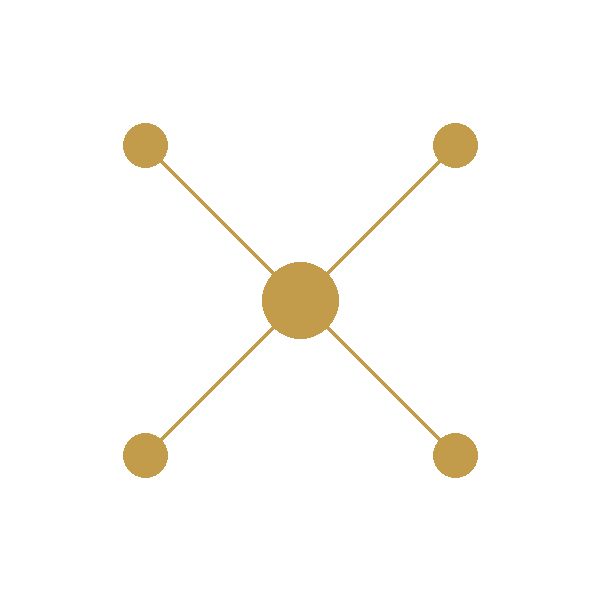 Diagram of a central node connected to four surrounding nodes, representing a network or relationship.