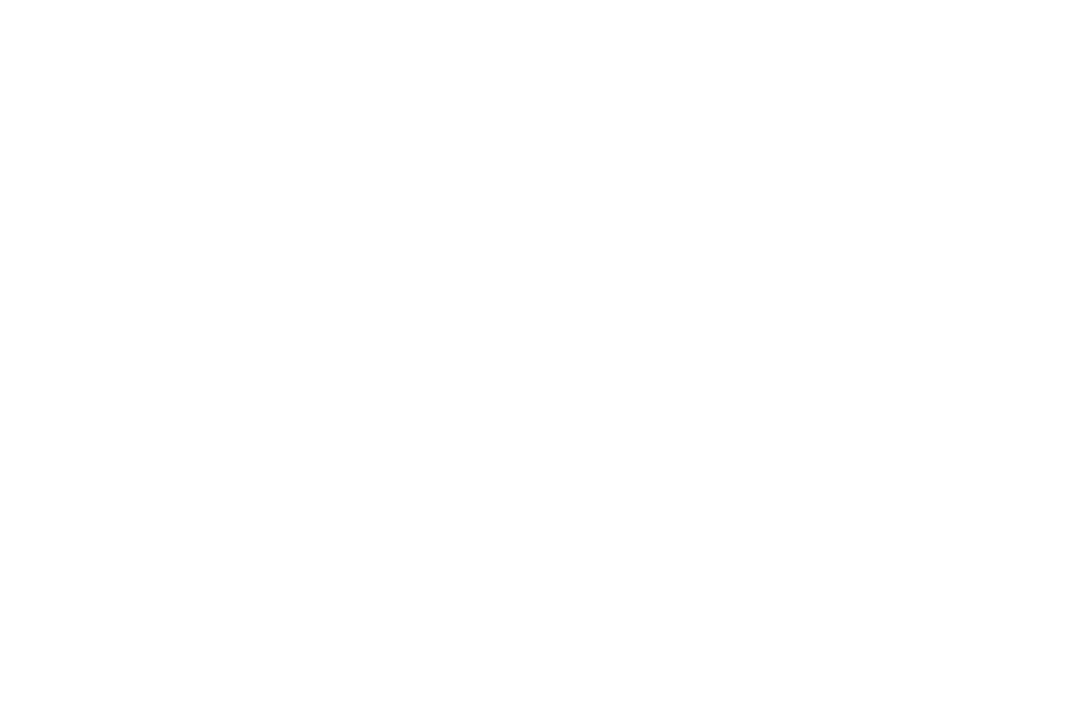 Elizabeth Chang Real Estate &amp; Investing