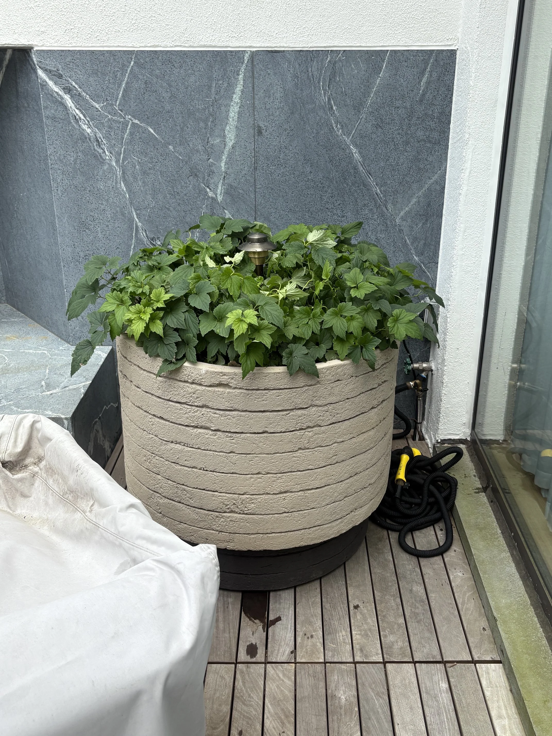 IMG_9202 (1).jpeg