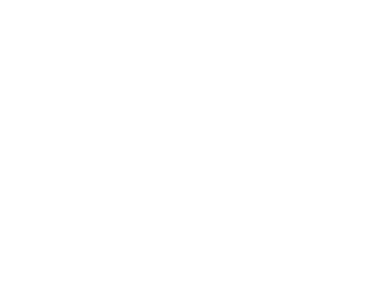 NEFI