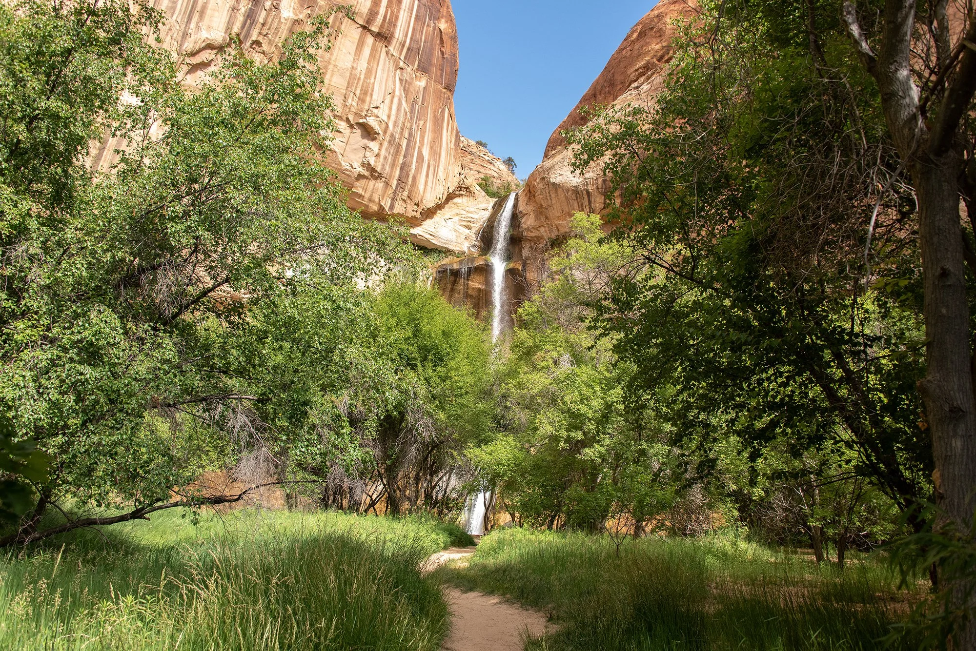 view of trail heading to Lower Calf Creek Falls