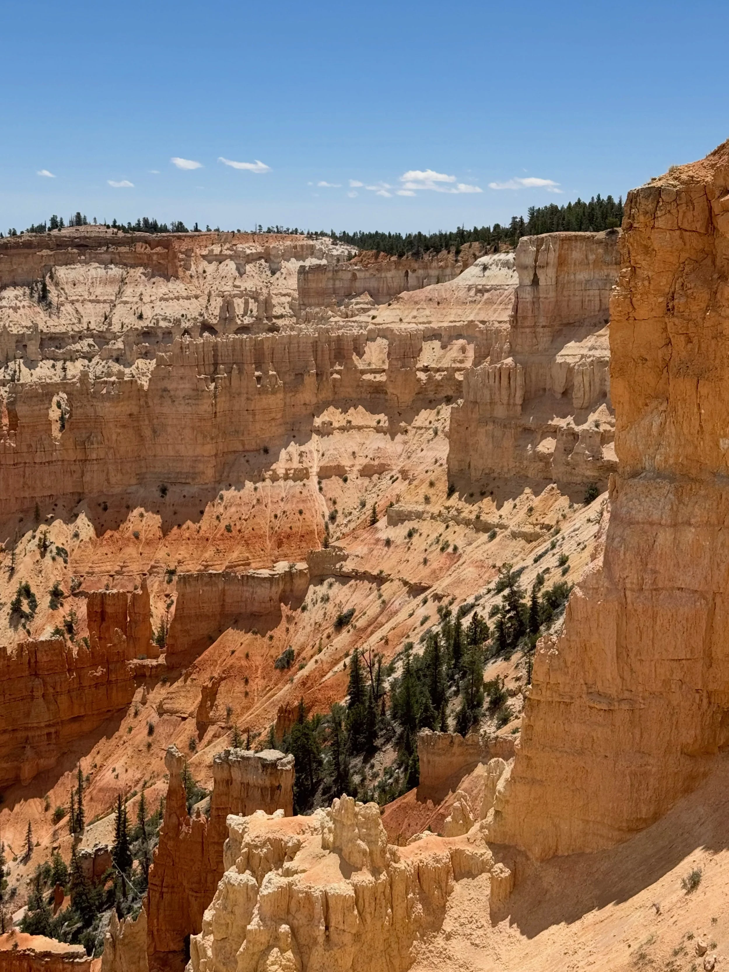 UTAH WEATHER UPDATE! 📍 Bryce Canyon National Park 6/30/26

We&rsquo;ve got clear skies over here!