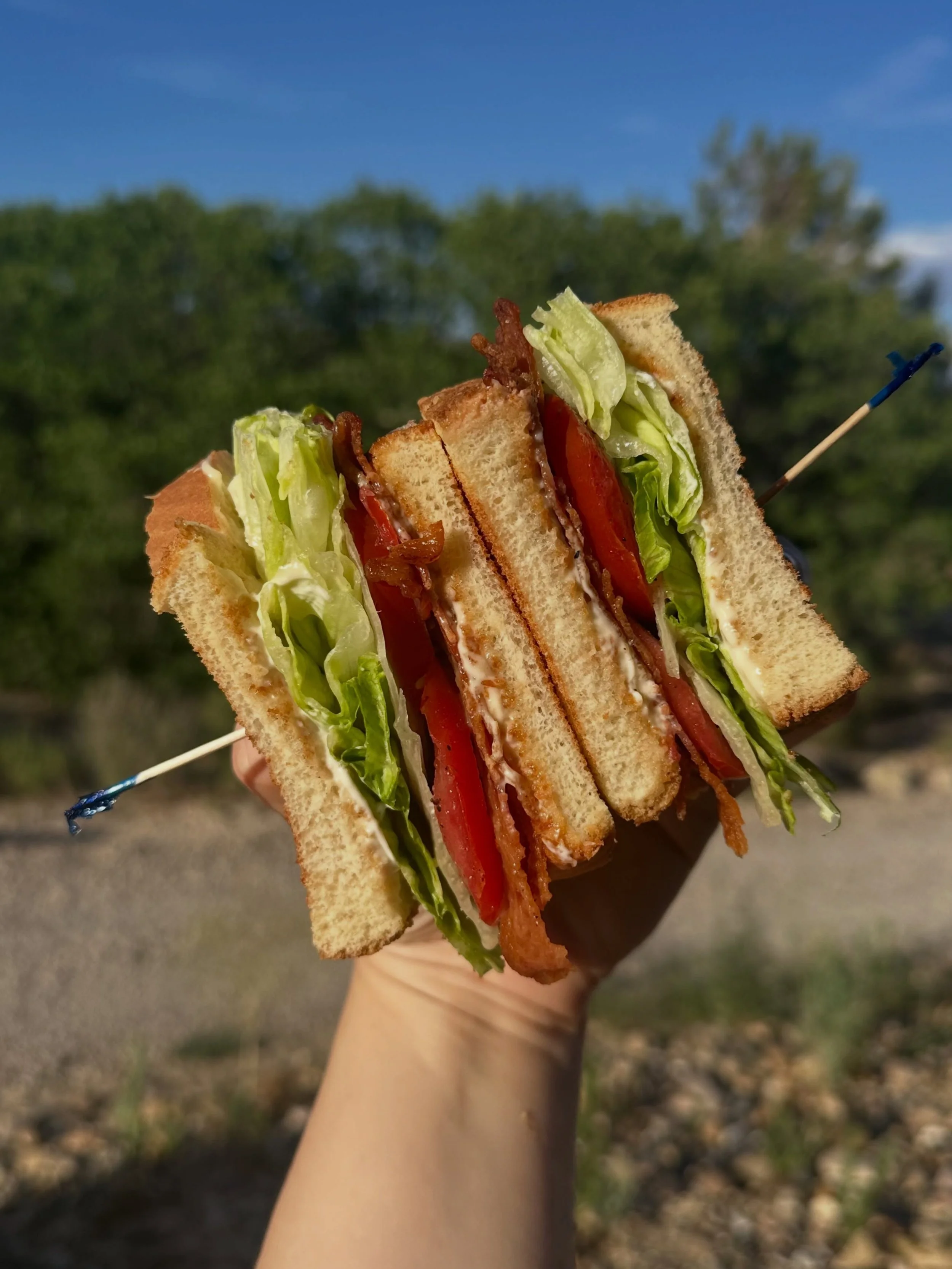 Things we care about that make a simple BLT sando GREAT: salt and peppered tomato (you can SEE it!), bacon aligned with the center cut so the bacon doesn&rsquo;t fall out after bite 1, and perfectly toasted bread that doesn&rsquo;t snap after bite 1.