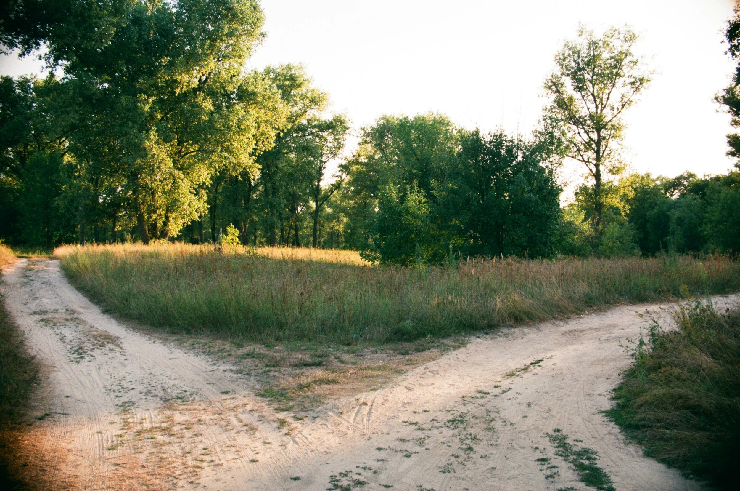 Fork in the road representing career direction and choosing what comes next