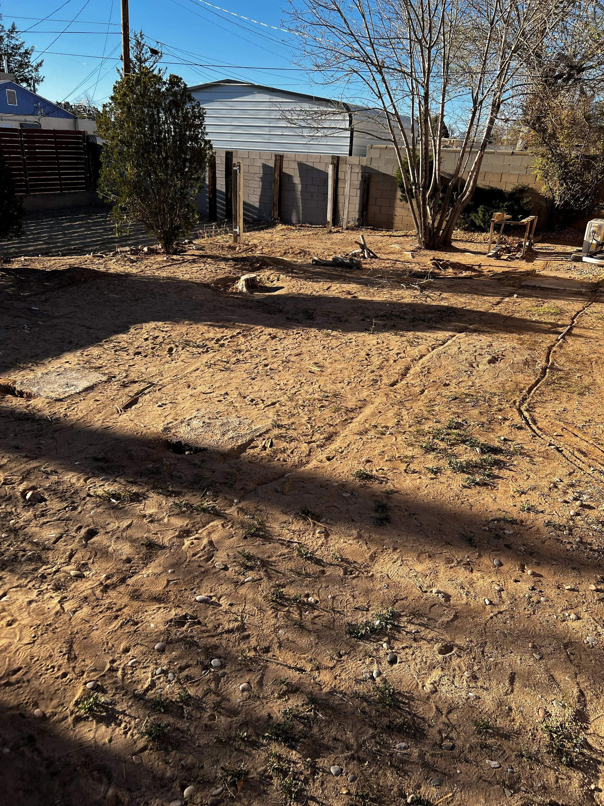 A backyard garden area with dirt ground, small plants, a large tree, and a fence in the background under a clear blue sky.