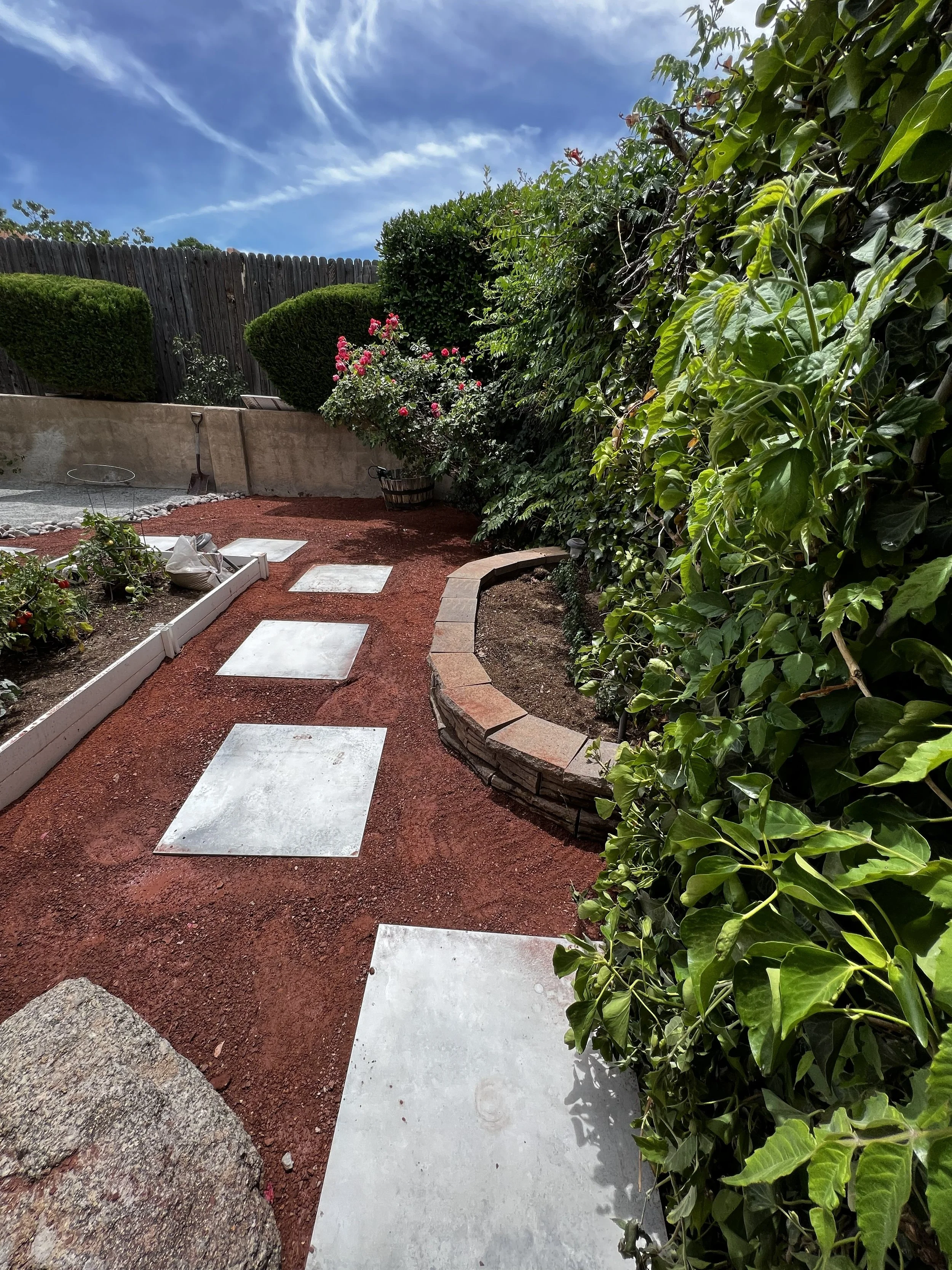 A backyard garden with a pathway of square stepping stones on reddish-brown dirt, bordered by green shrubs and a rose bush with pink flowers, a concrete retaining wall, and a wooden fence under a partly cloudy sky.