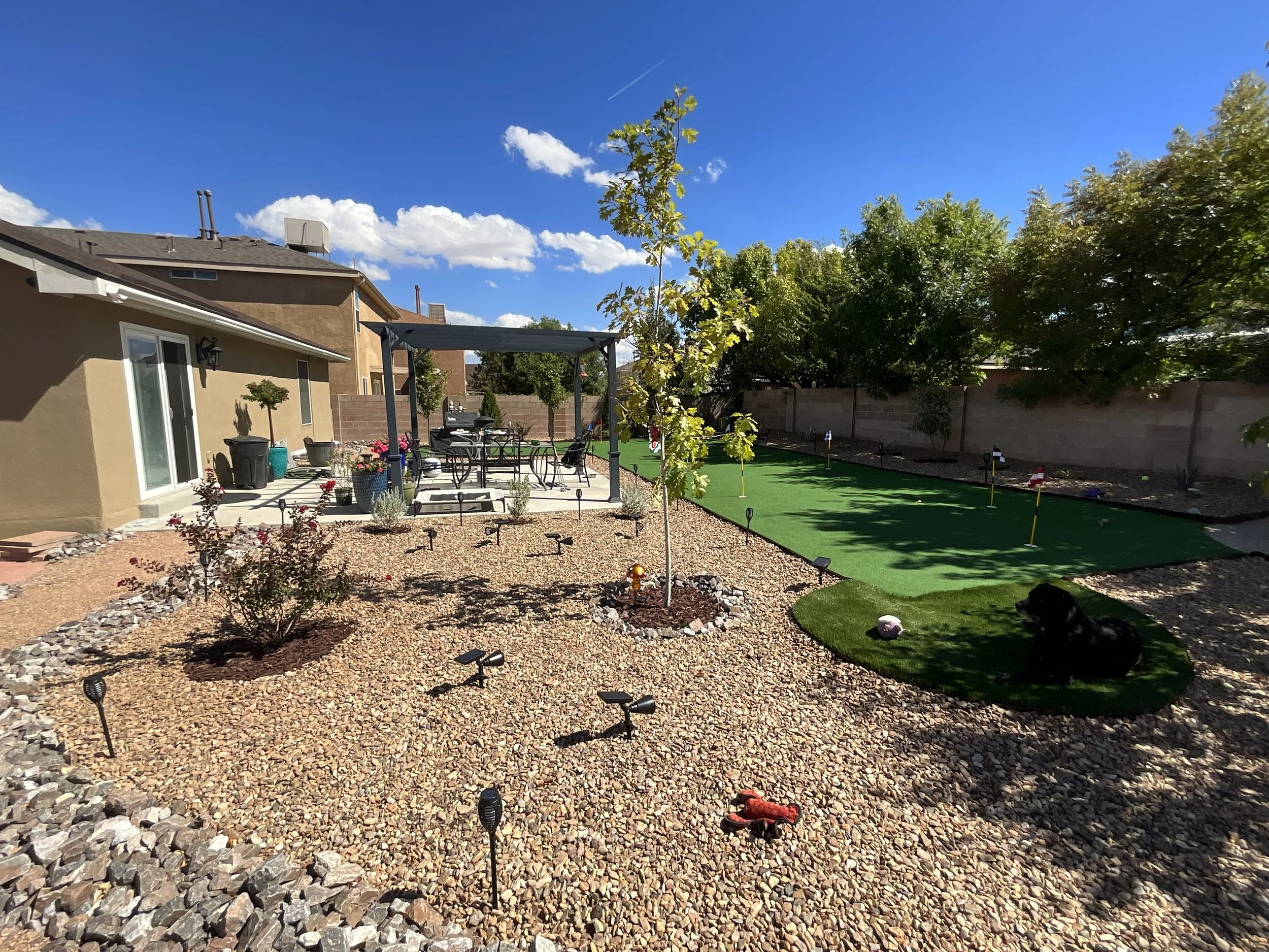 A backyard with a house on the left side, a patio with outdoor furniture, a young tree in the center, and a landscaped yard with a green turf area, small plants, and garden lights, under a clear blue sky with a few clouds.