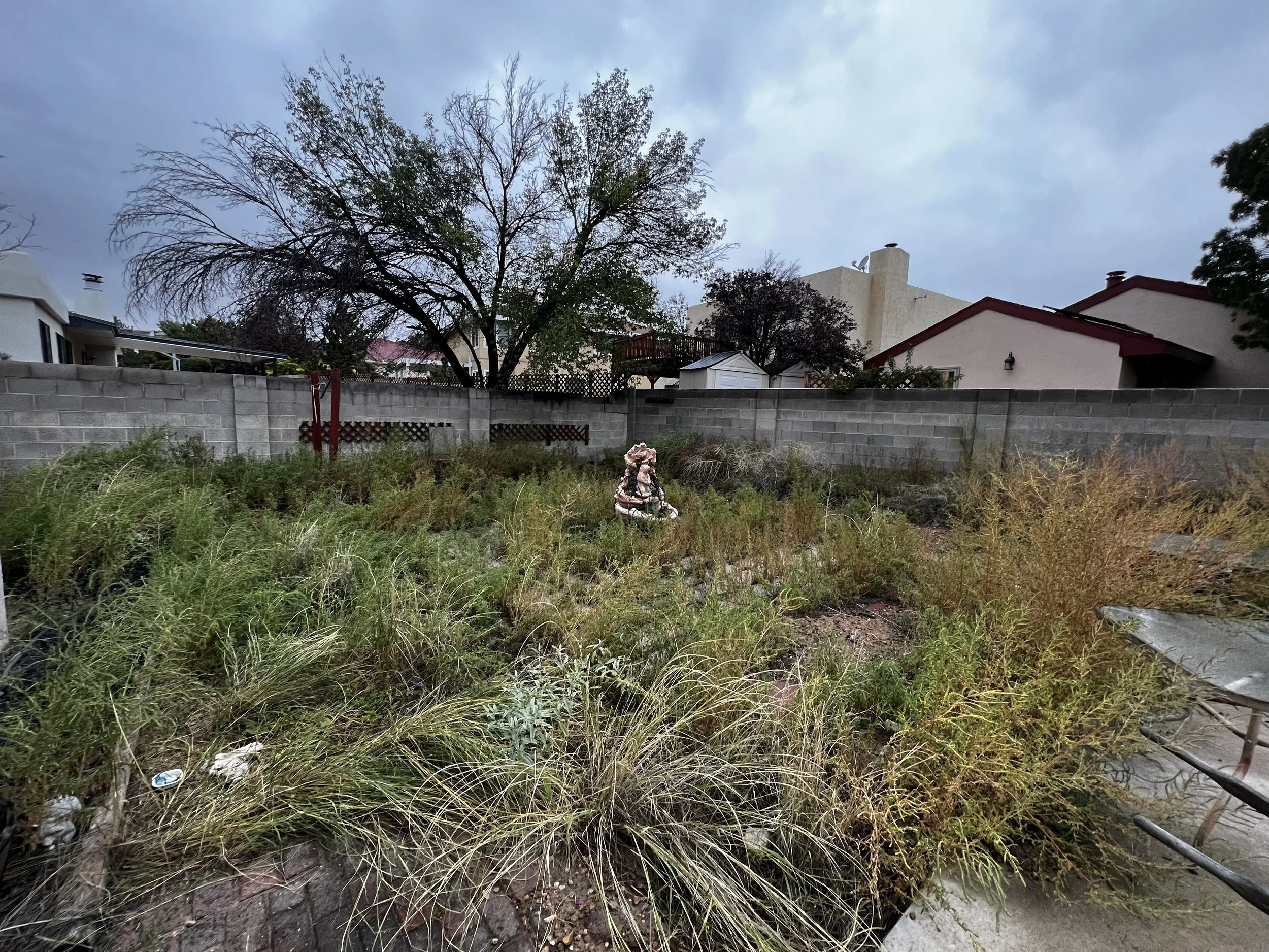Overgrown backyard with tall grass, weeds, and scattered trash, enclosed by a concrete block wall. In the background, there are residential houses, trees, and a cloudy sky.