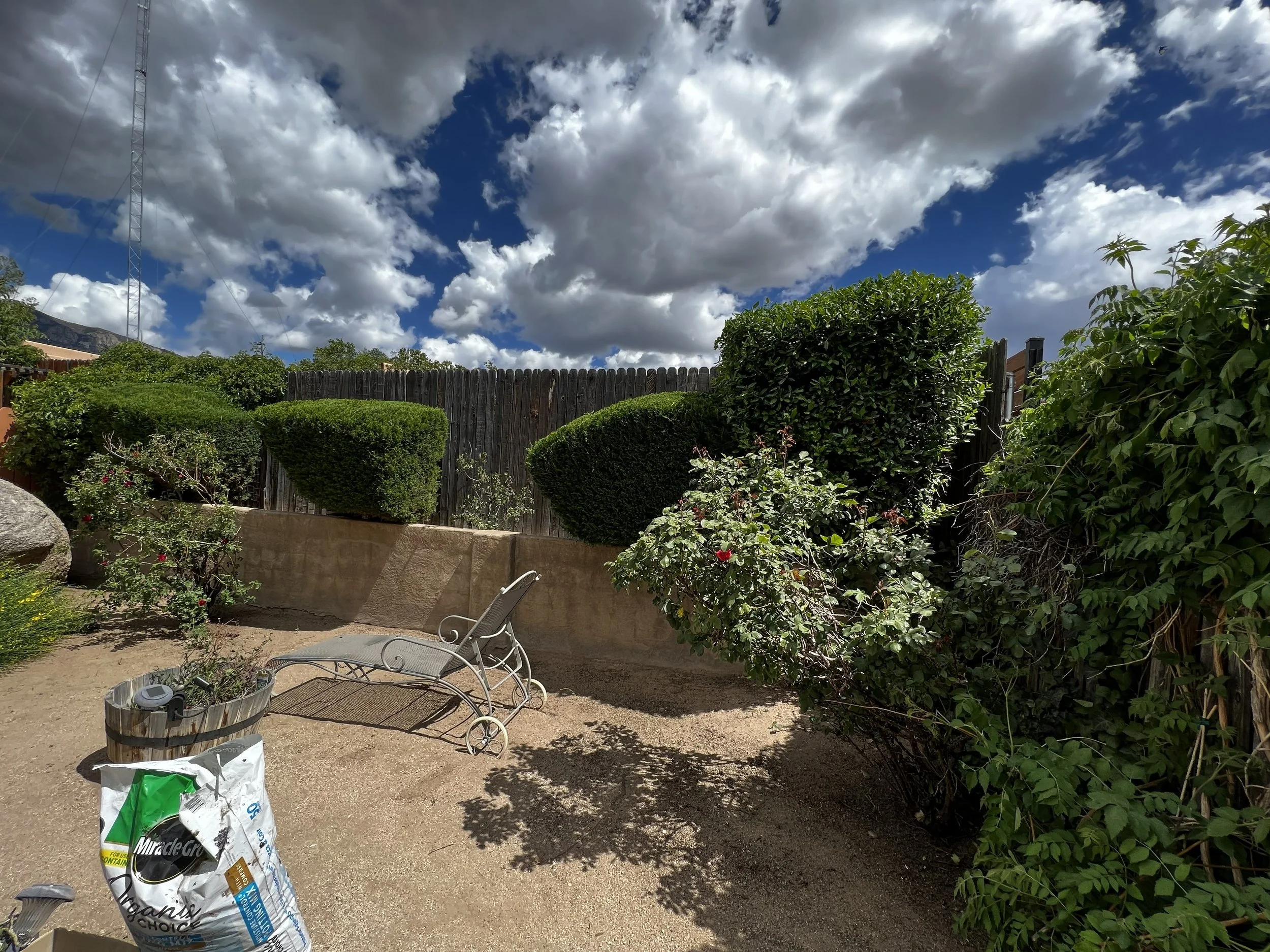 A backyard garden with bushes, a wooden fence, and a cloudy sky. There are garden chairs, gardening supplies, and a hose on the ground.
