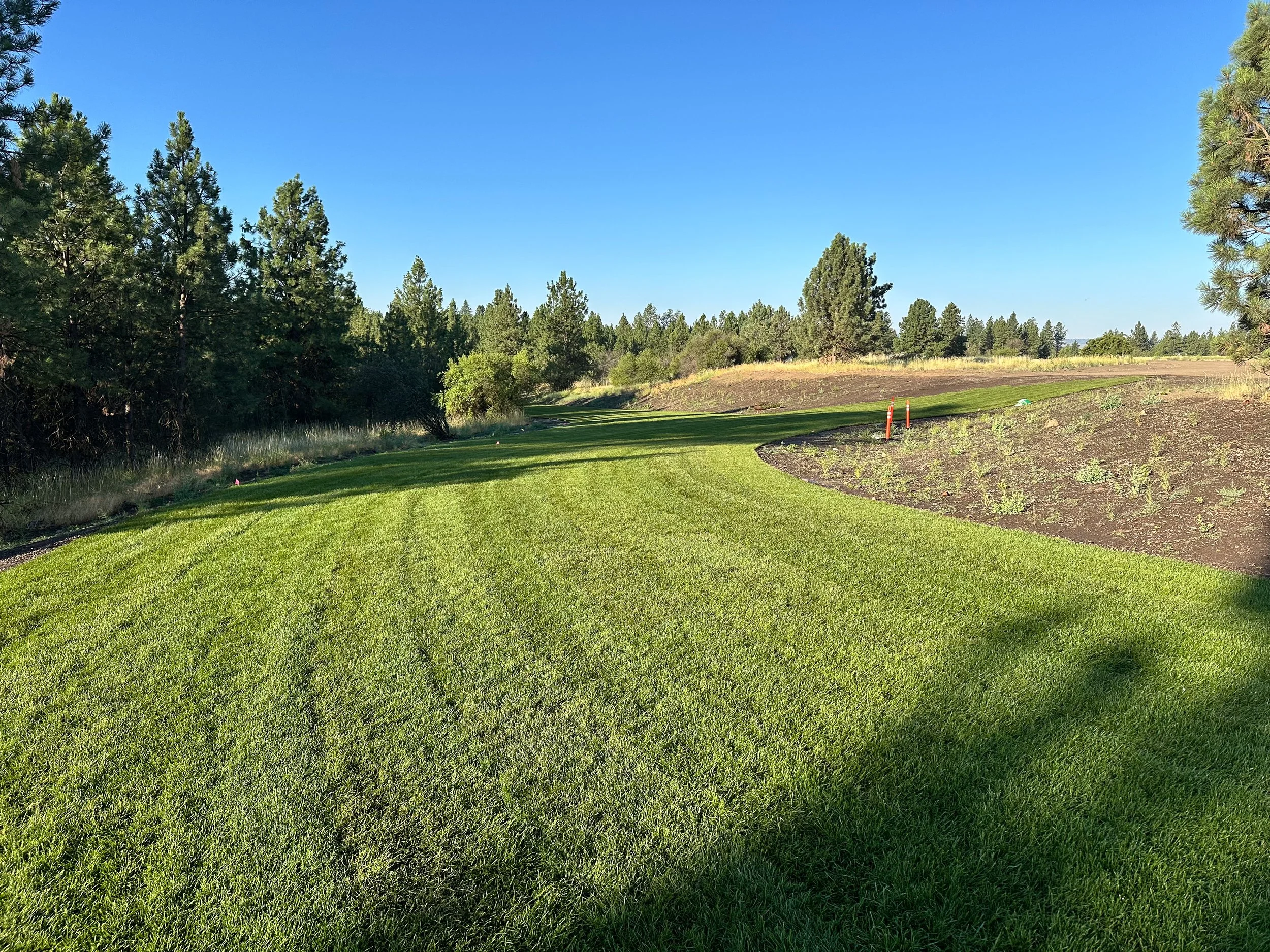 Open turf area bordered by trees and ornamental grass planting, cross country running course