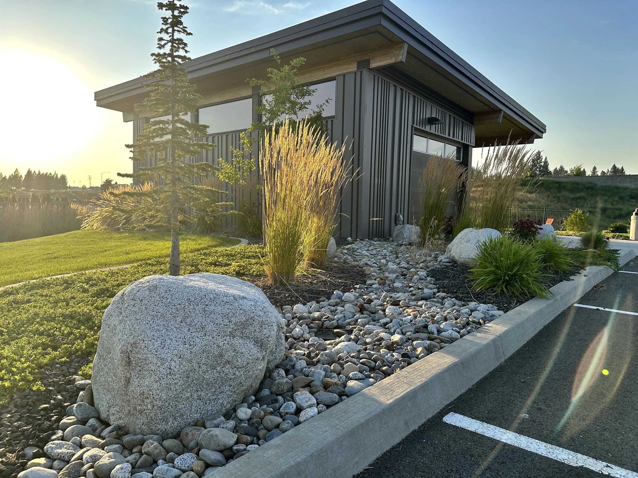 Low-water planting, ornamental grasses, and boulders outside a contemporary building