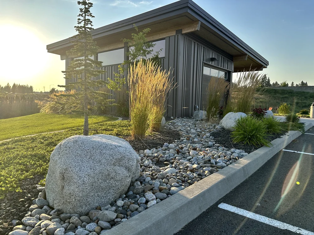 Low-water planting, ornamental grasses, and boulders outside Riverstone Transit Center