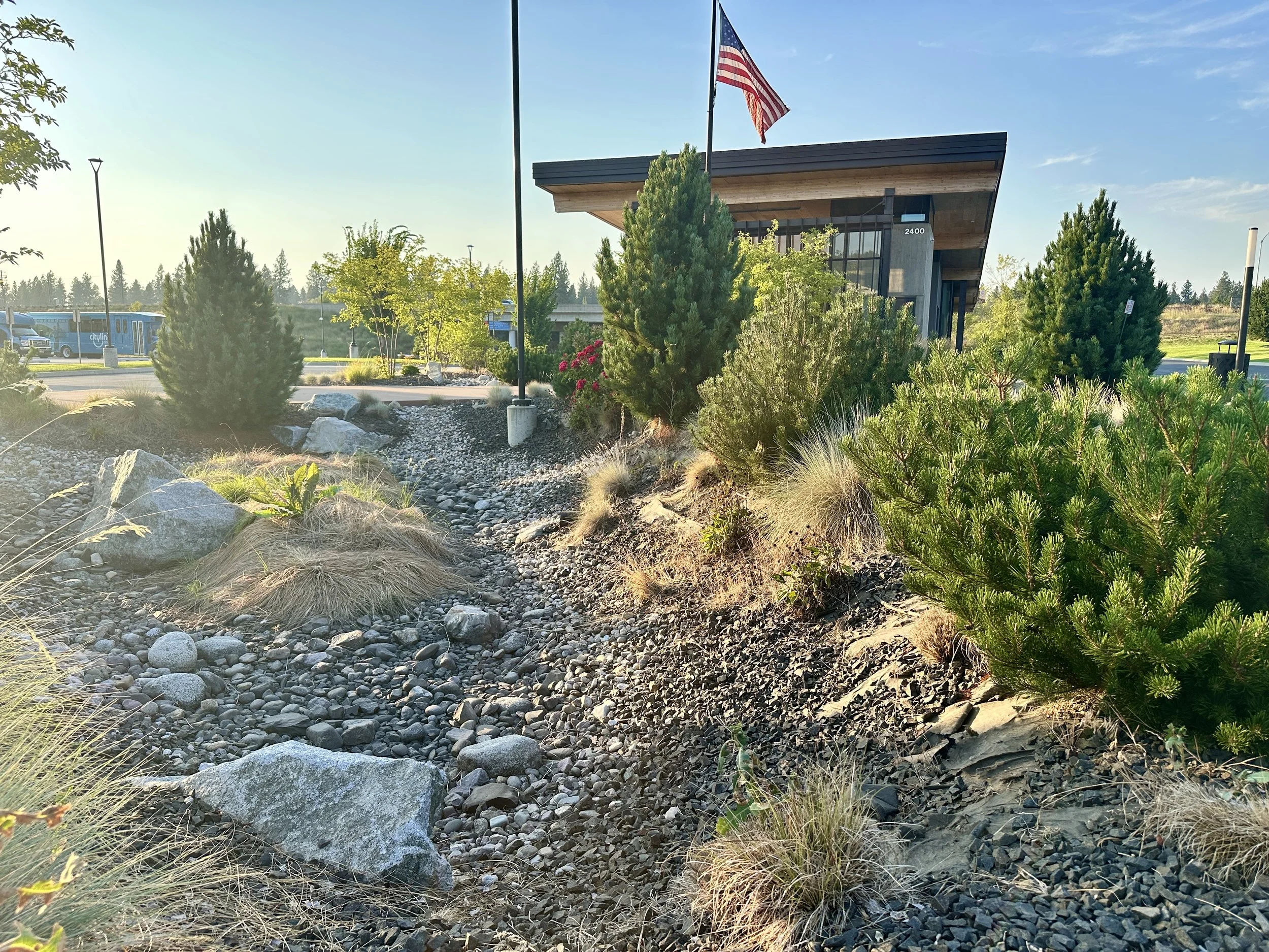 Drought-tolerant planting and decorative rock outside a modern building