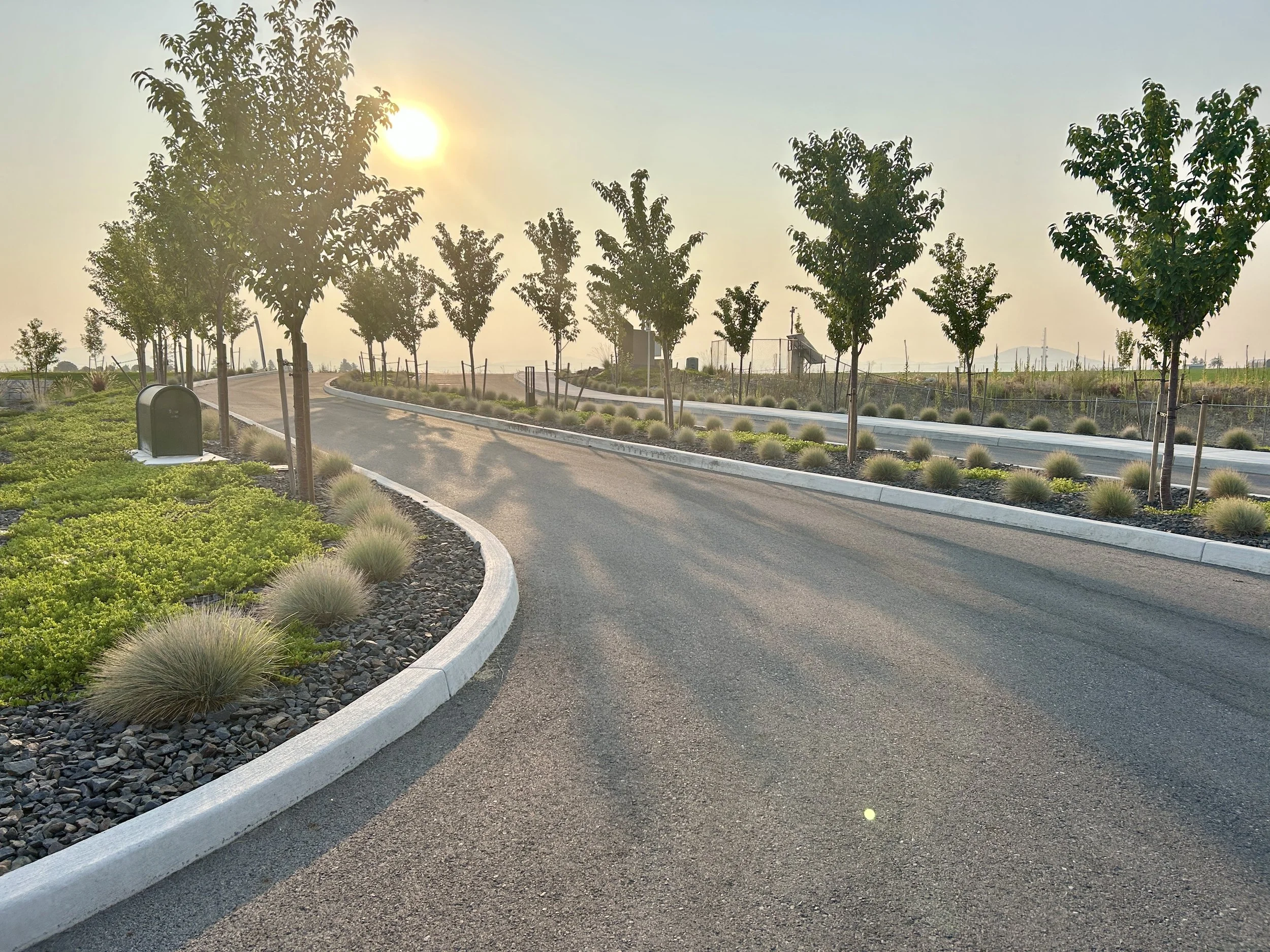 Curving neighborhood street with landscaped planting beds and evenly spaced trees