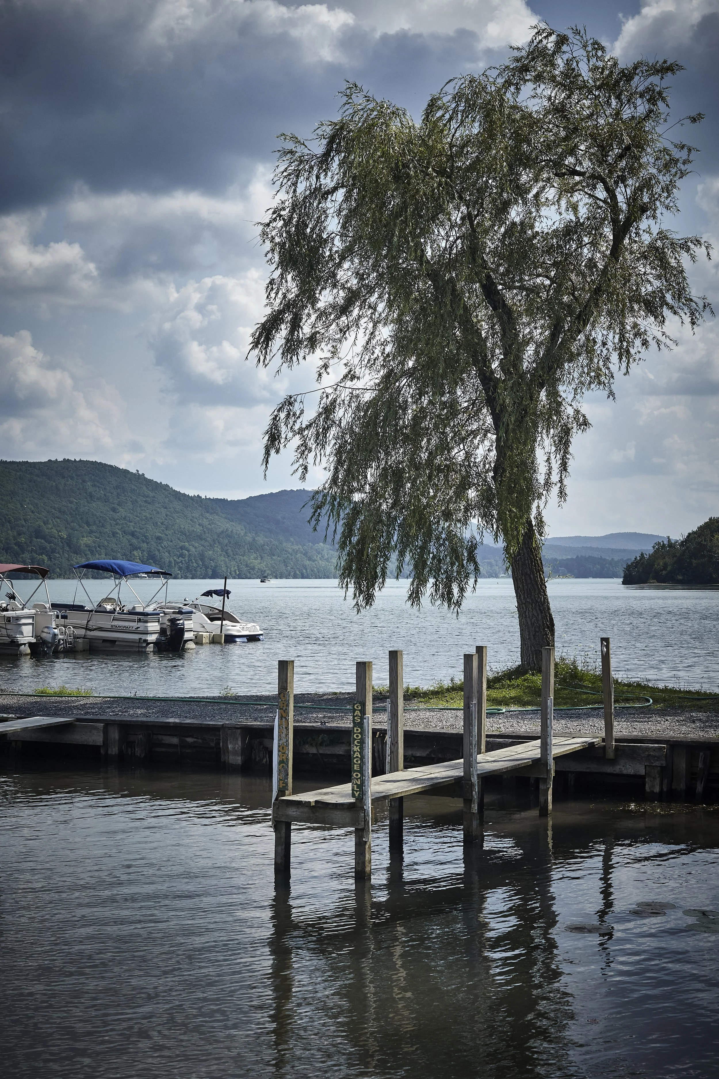 _MG_2597.jpg