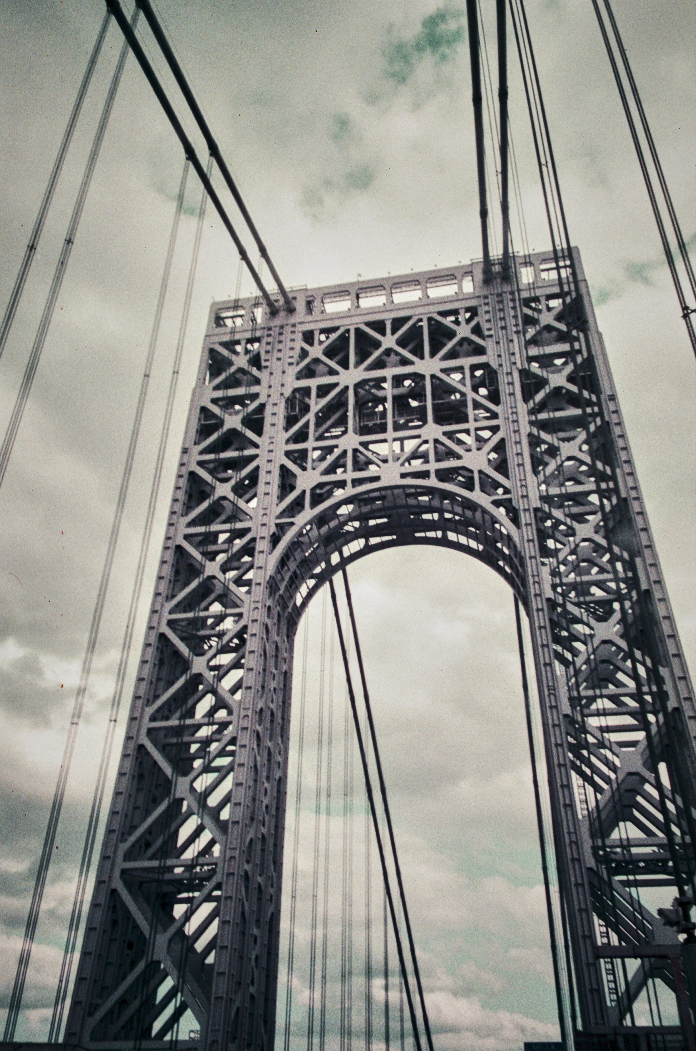 484933_8565_18.jpg