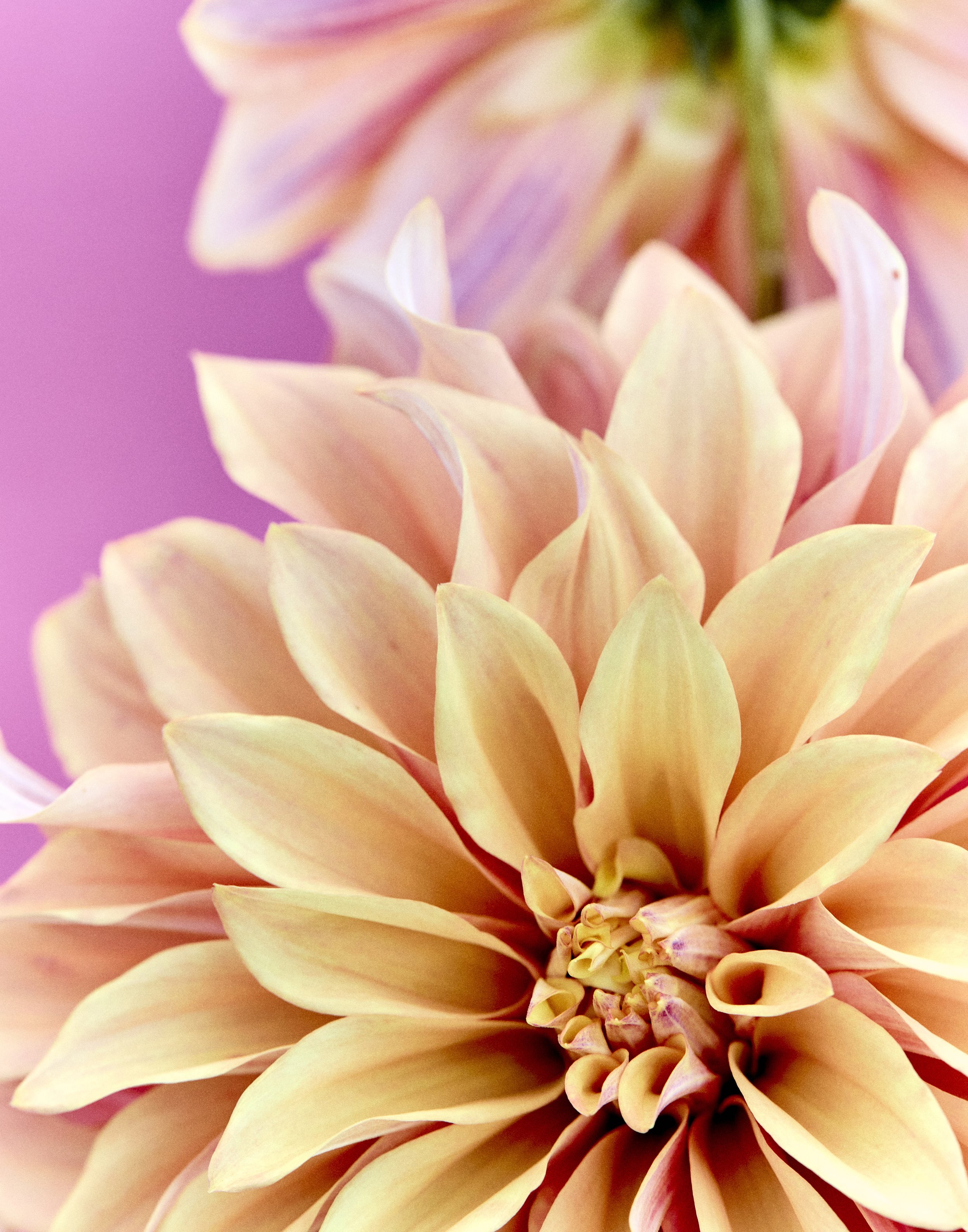 _U0A3709.jpg