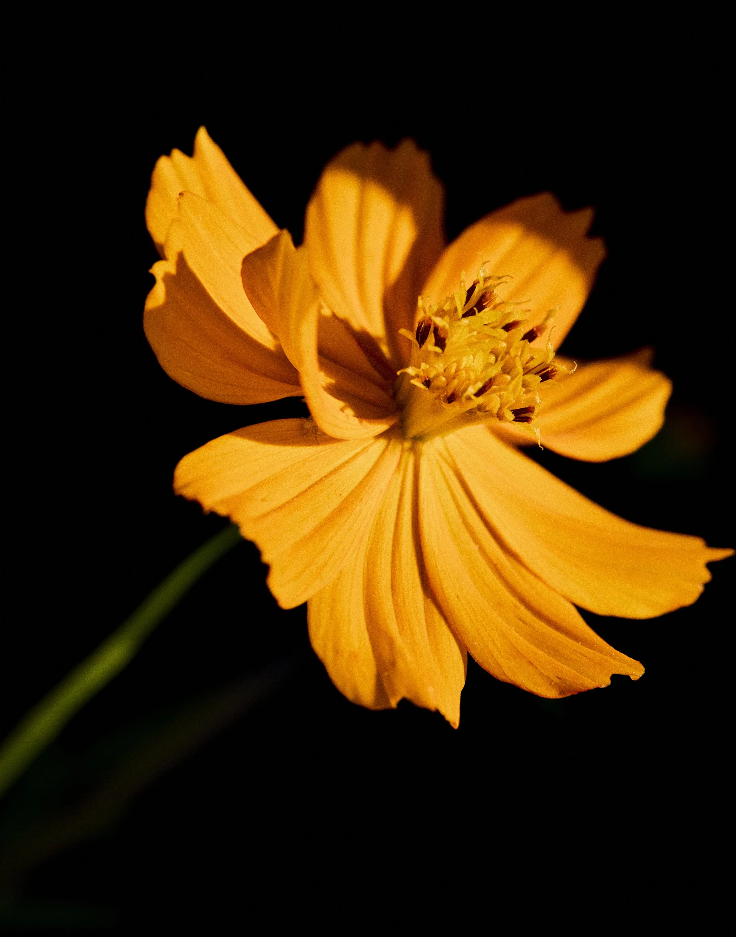 _U0A3124.jpg