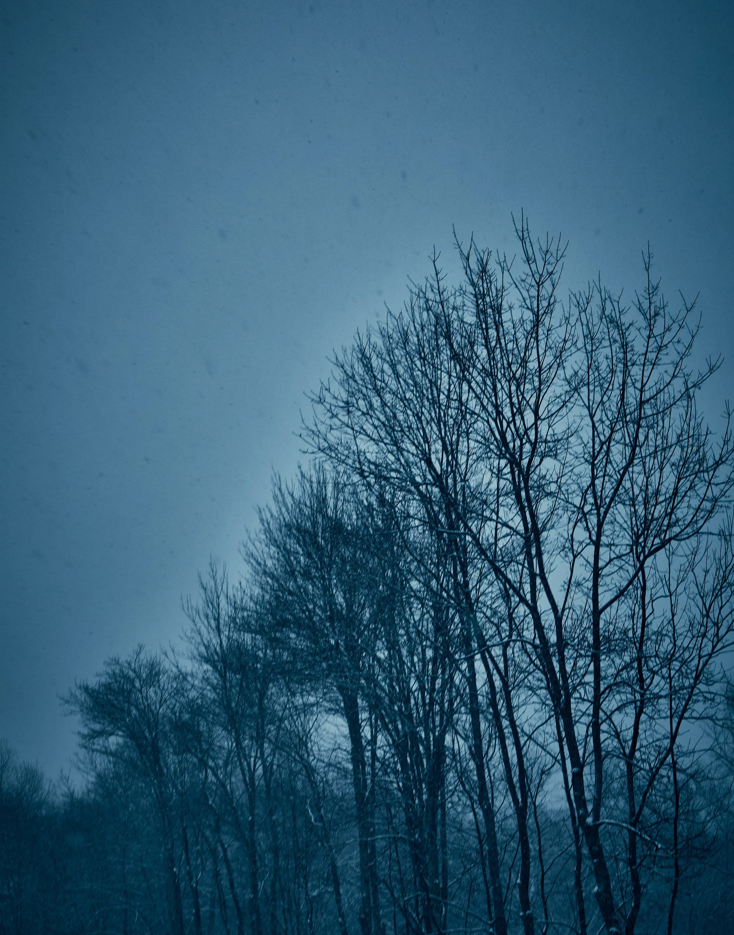 _U0A8121.jpg