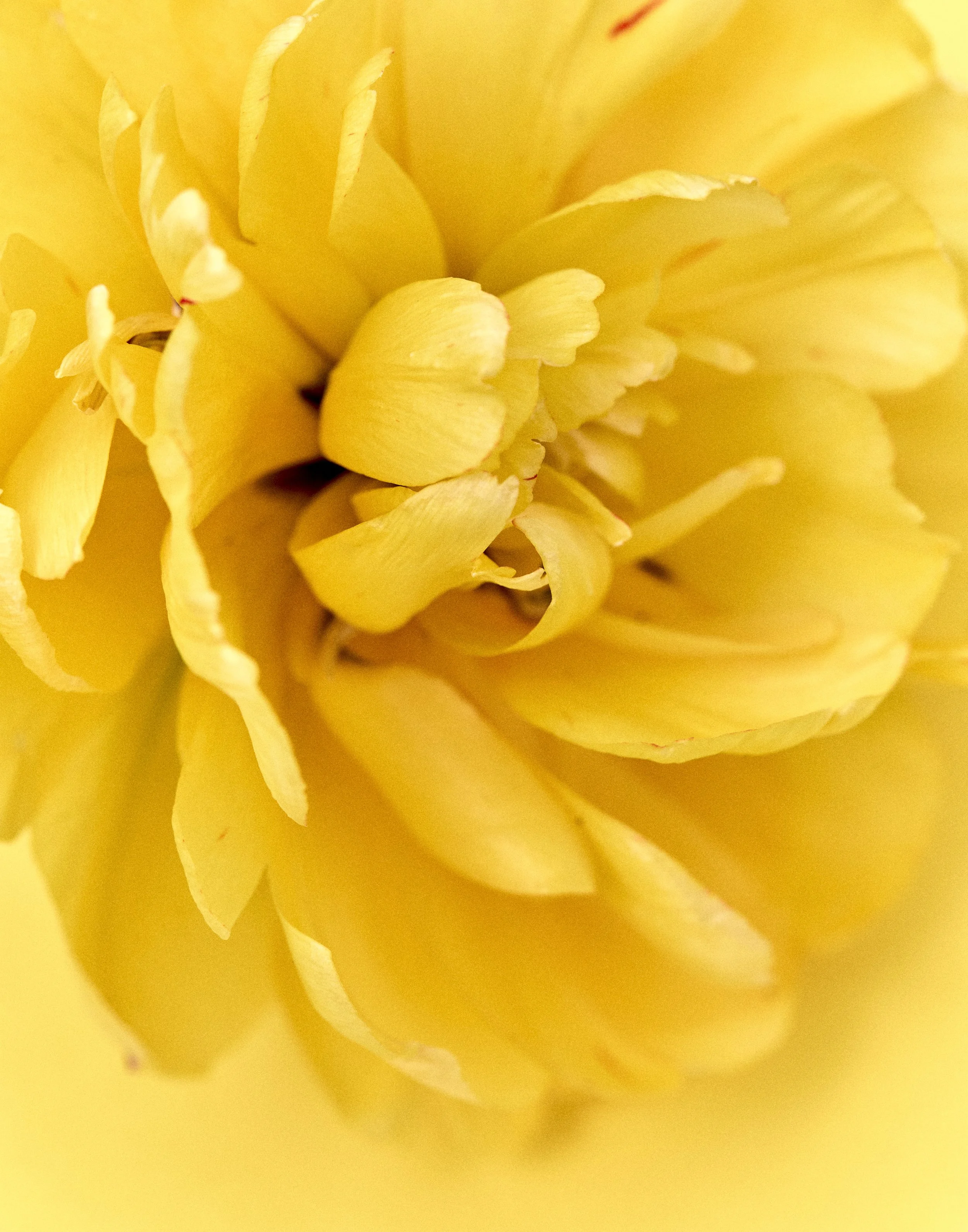 _U0A0289.jpg