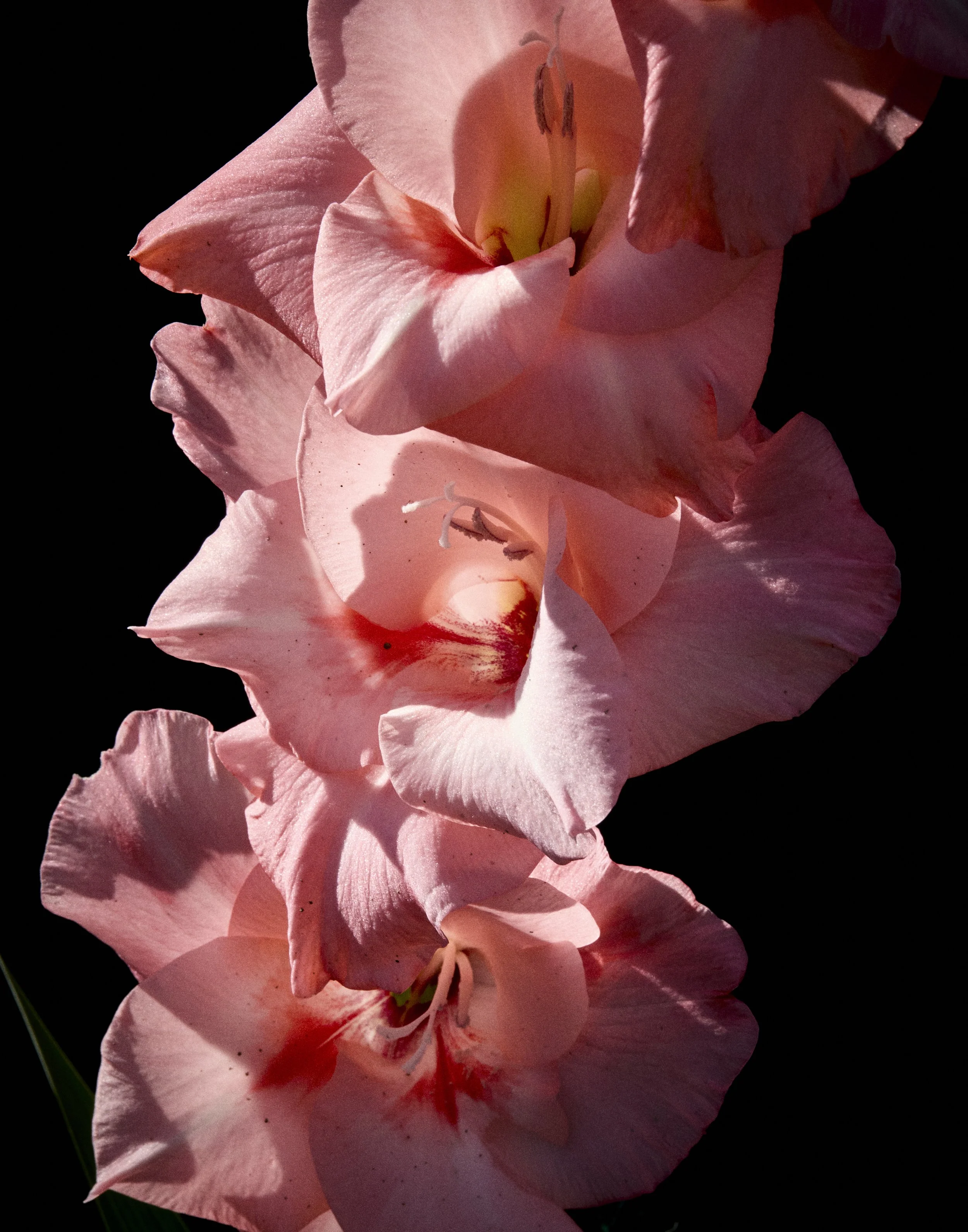 _U0A3658.jpg