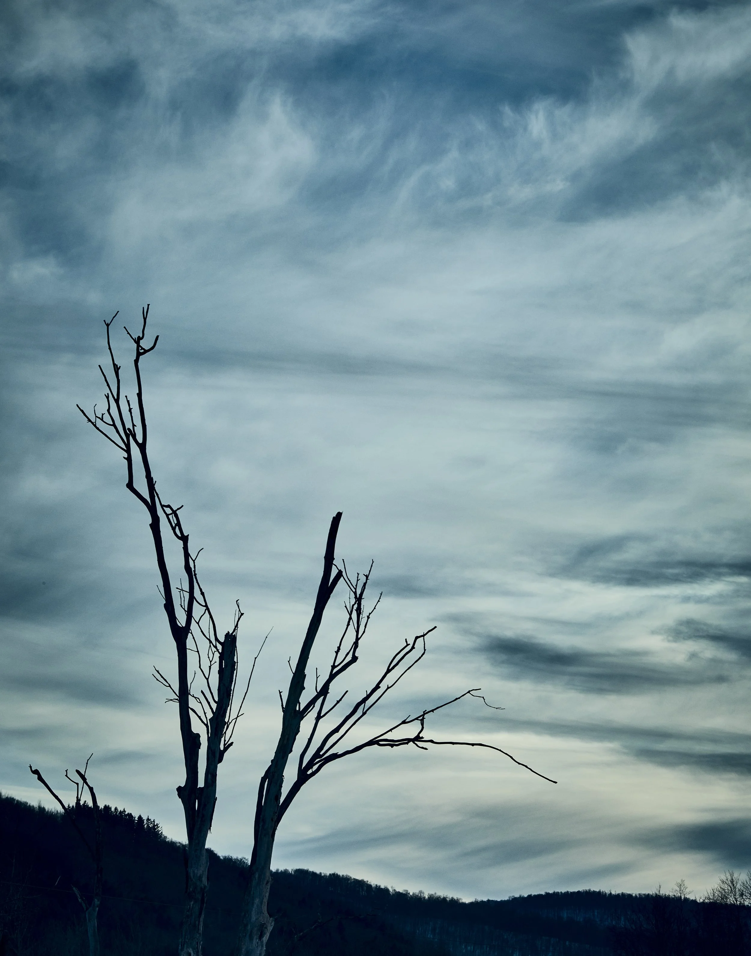 _U0A0430.jpg