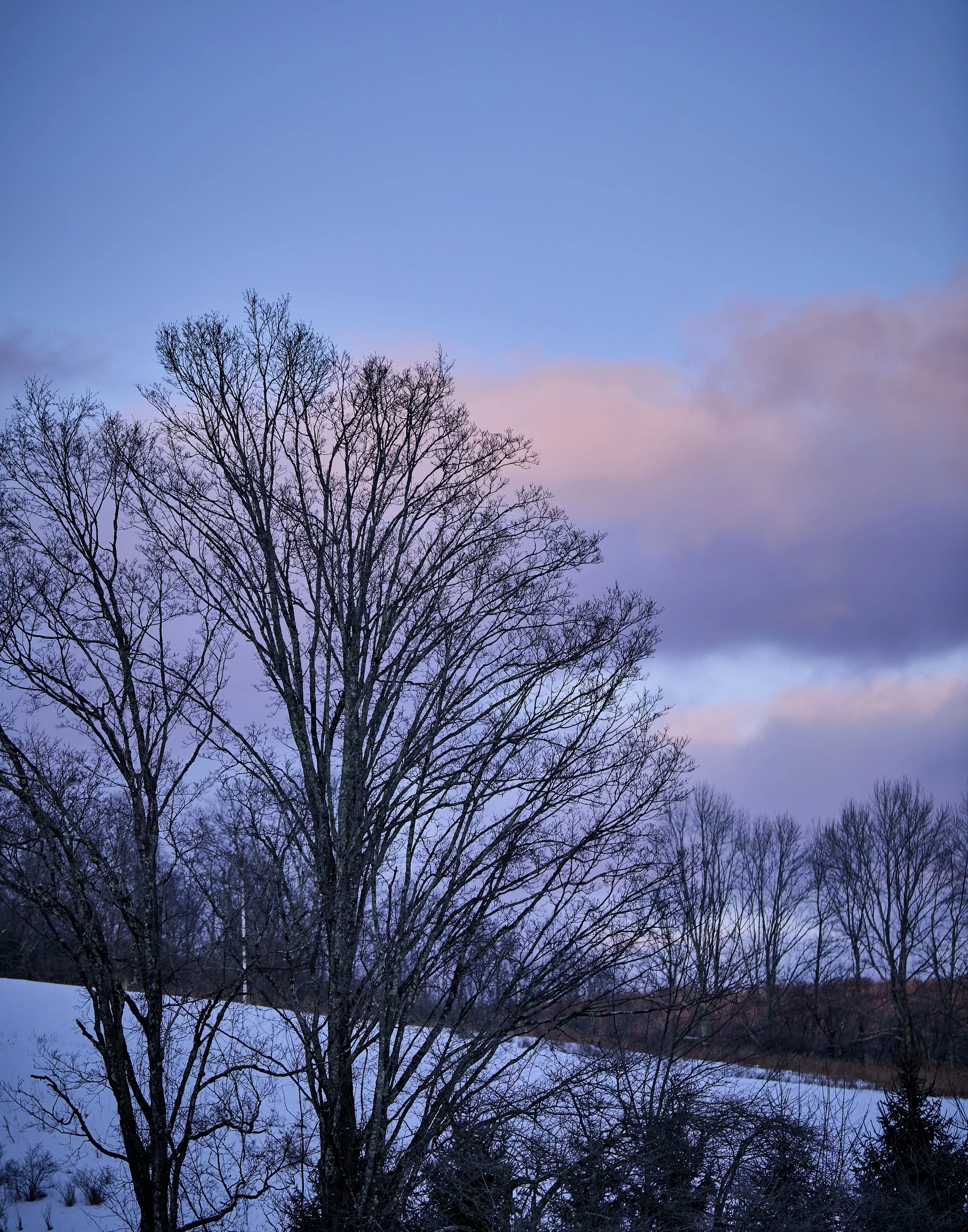 _U0A0423.jpg