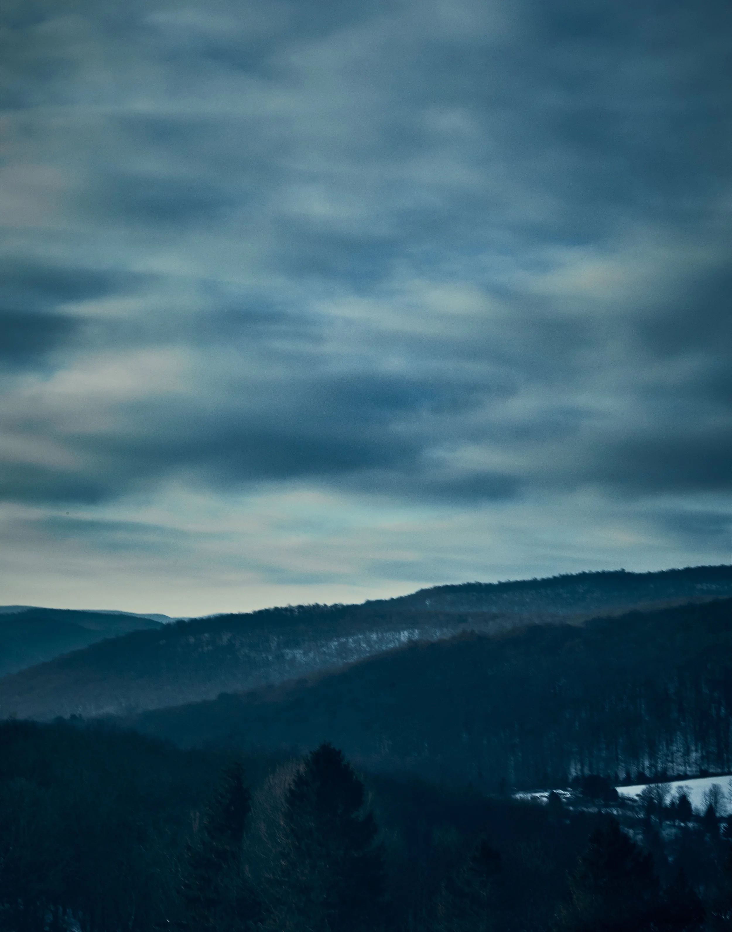_U0A8403.jpg