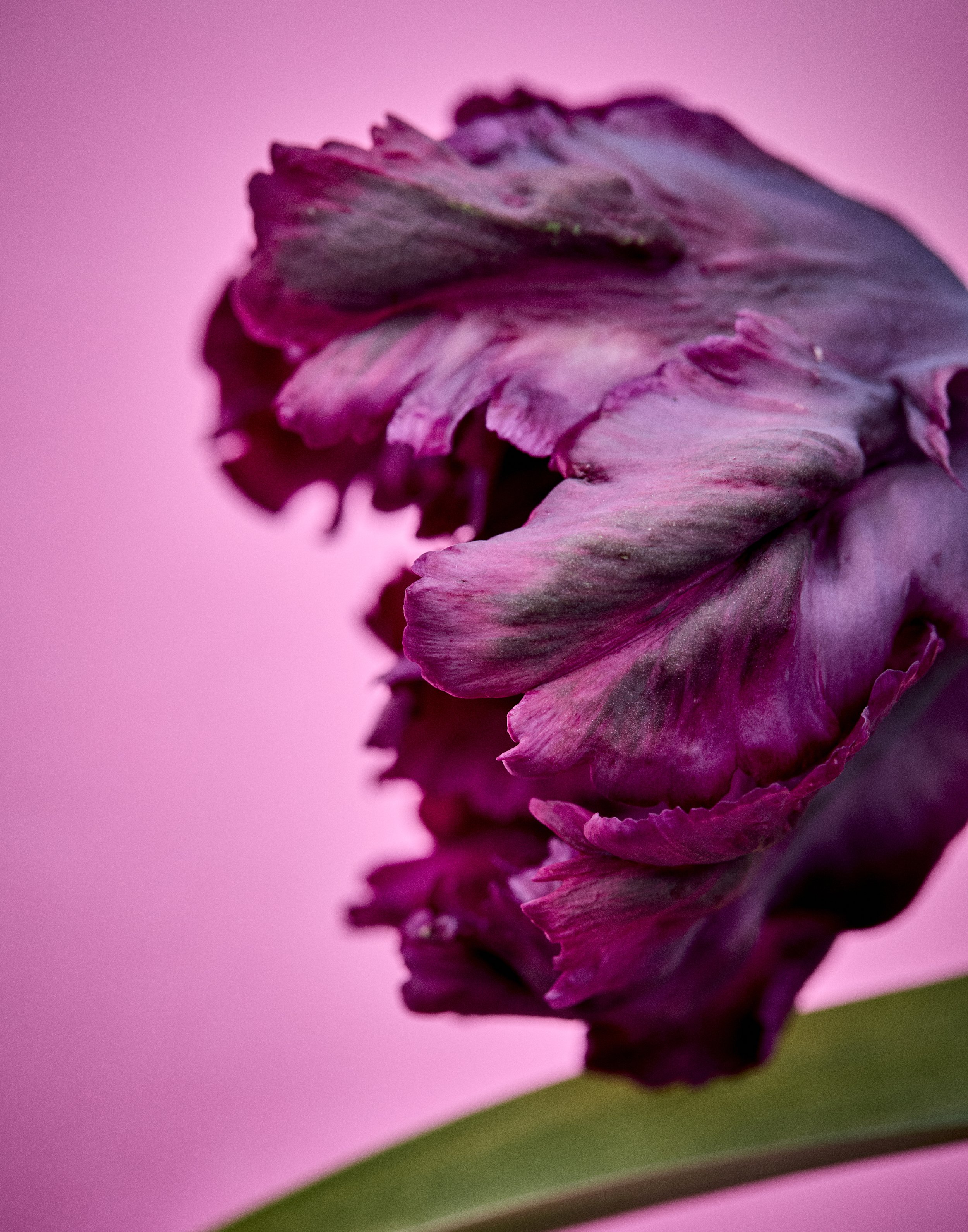 _U0A0280.jpg