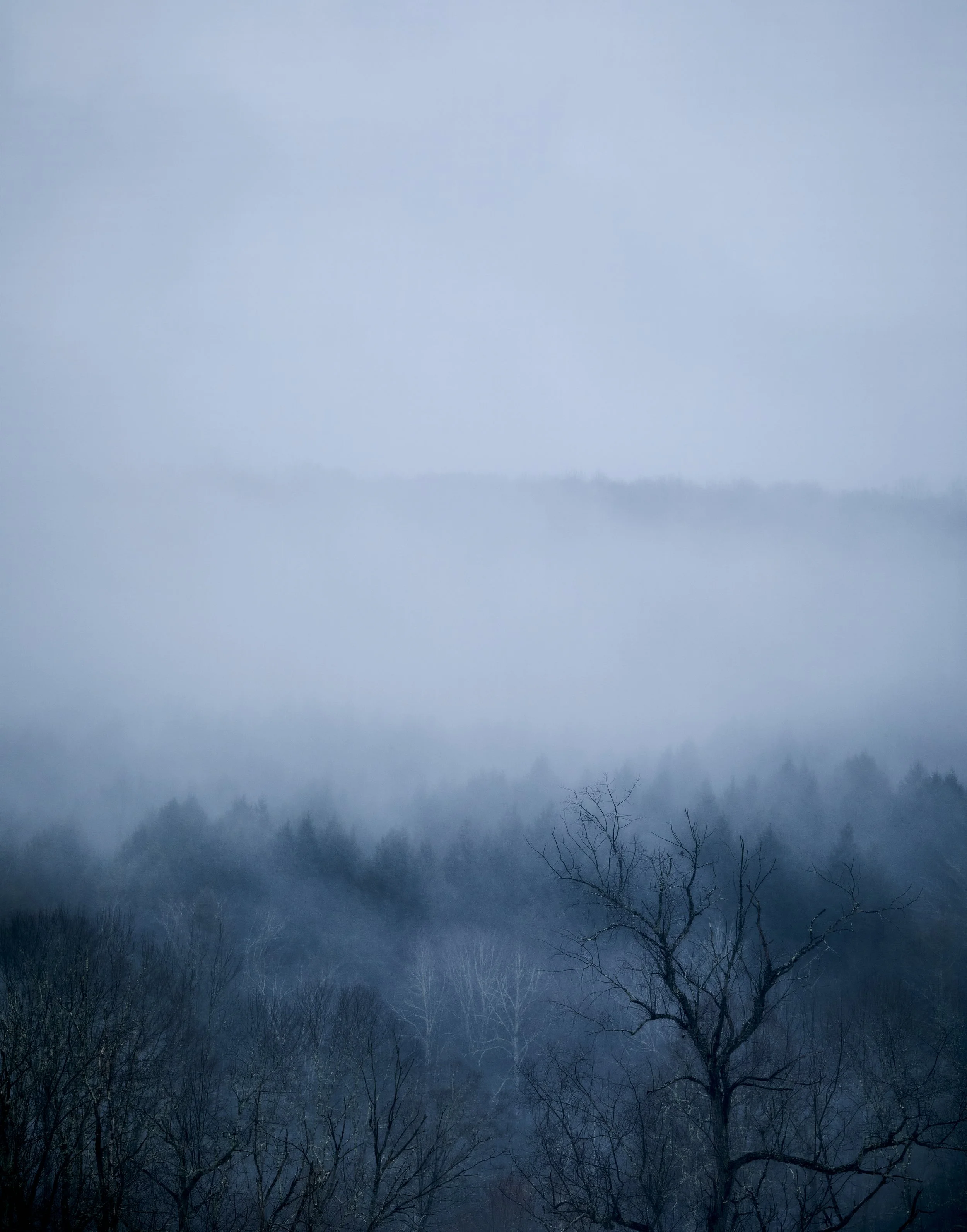 _U0A0783.jpg