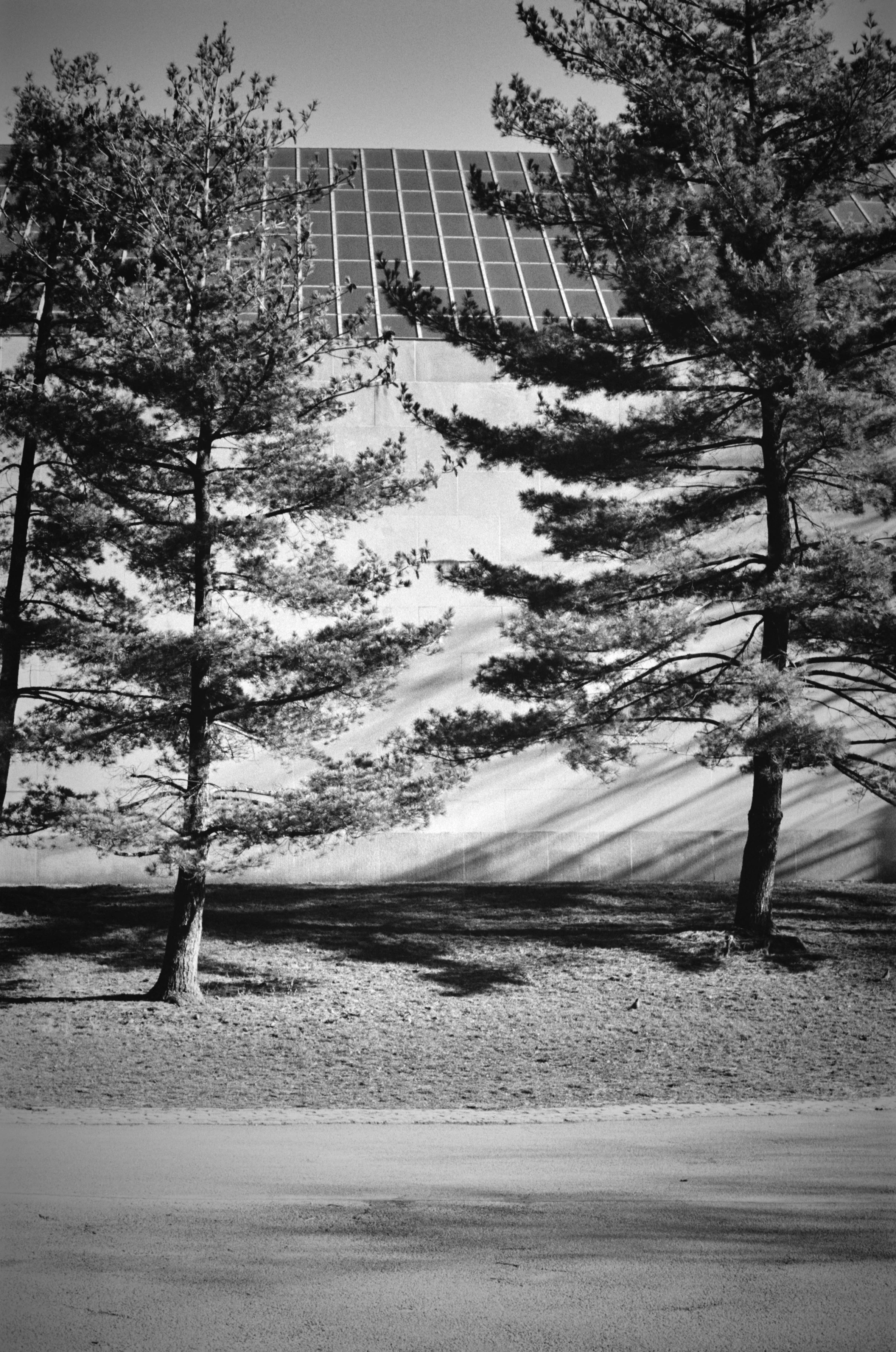 444700_1264_29.jpg