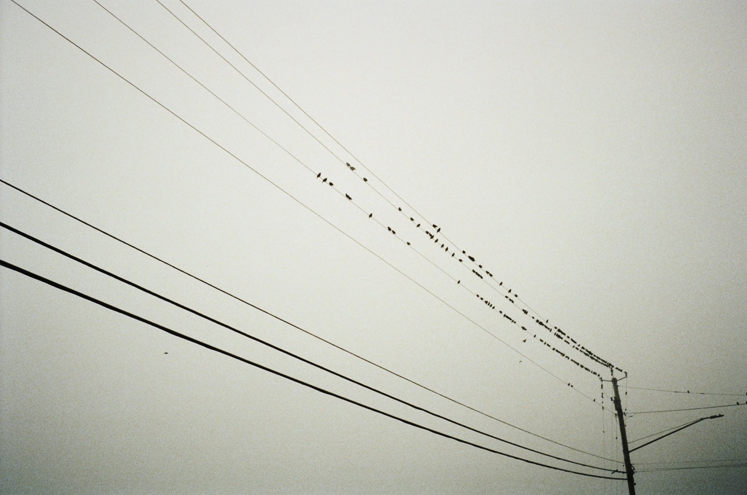 479953_6174_09_7.jpg
