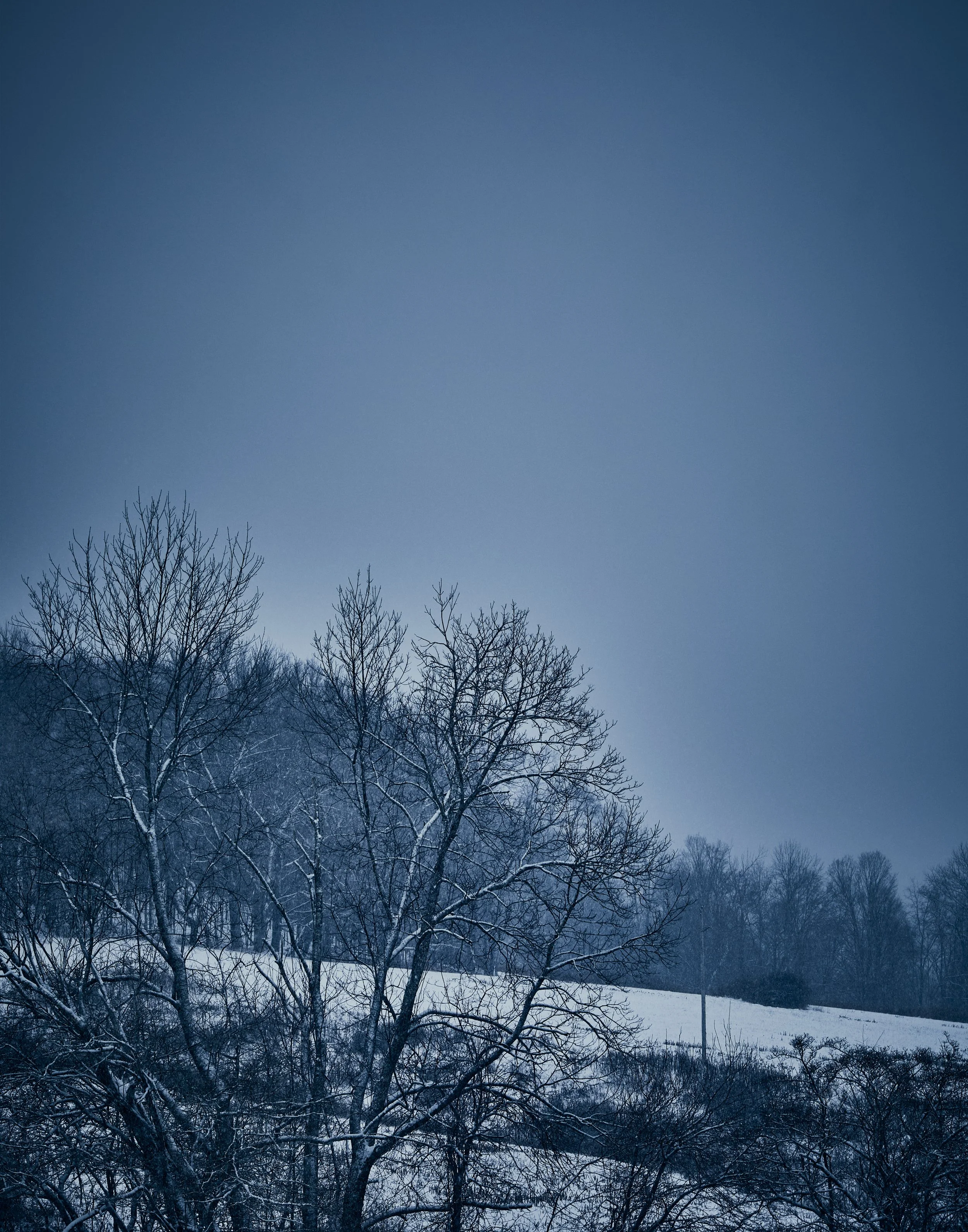 _U0A8119.jpg