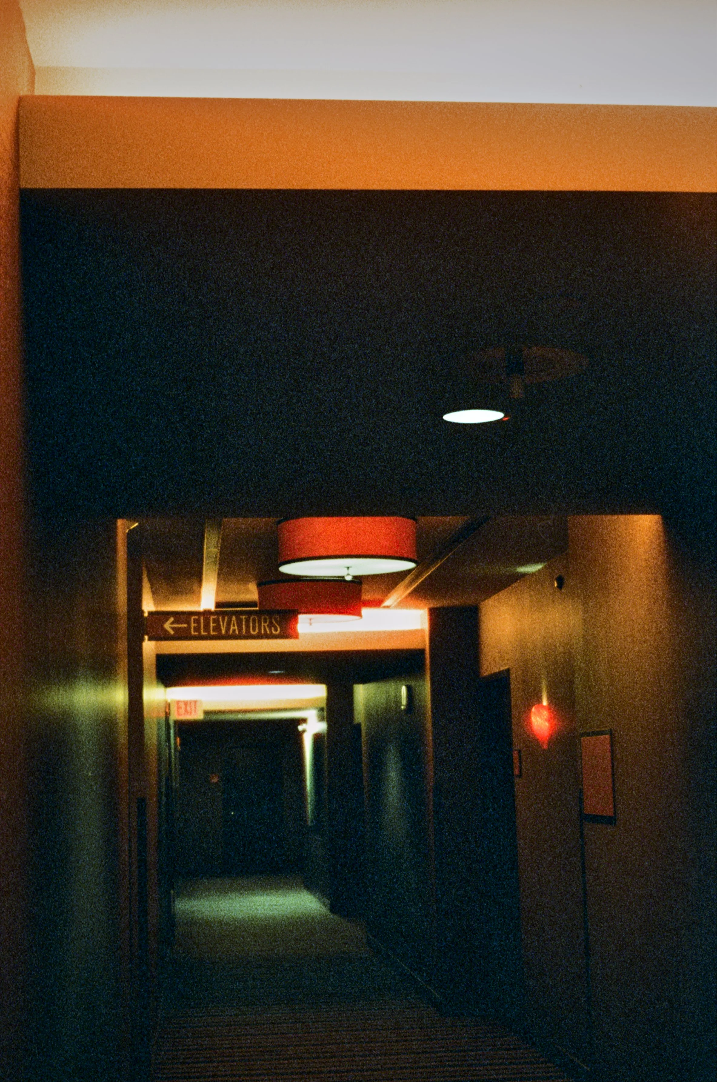 484933_8566_19.jpg