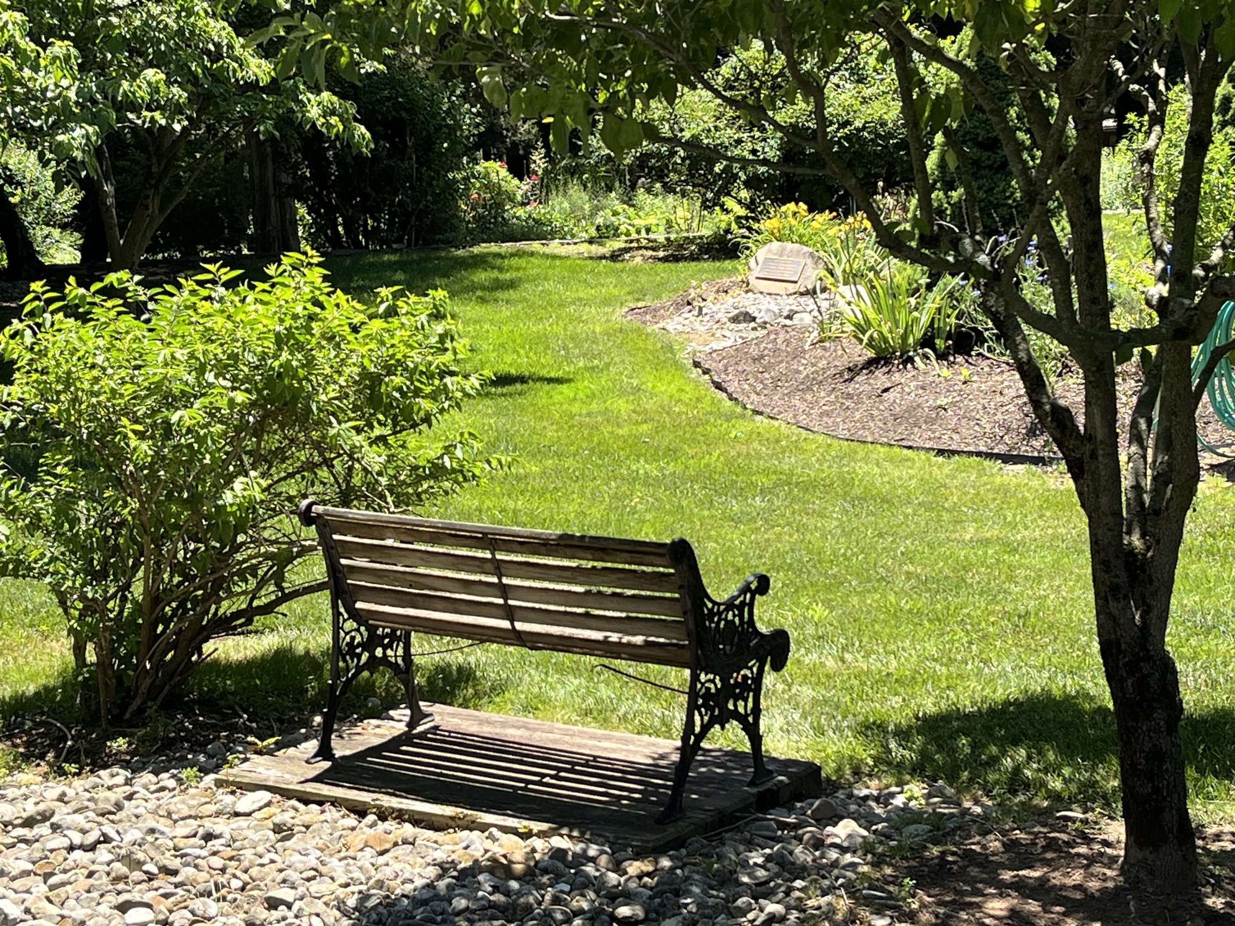 A garden with a wooden bench, surrounded by green grass, trees, and bushes.
